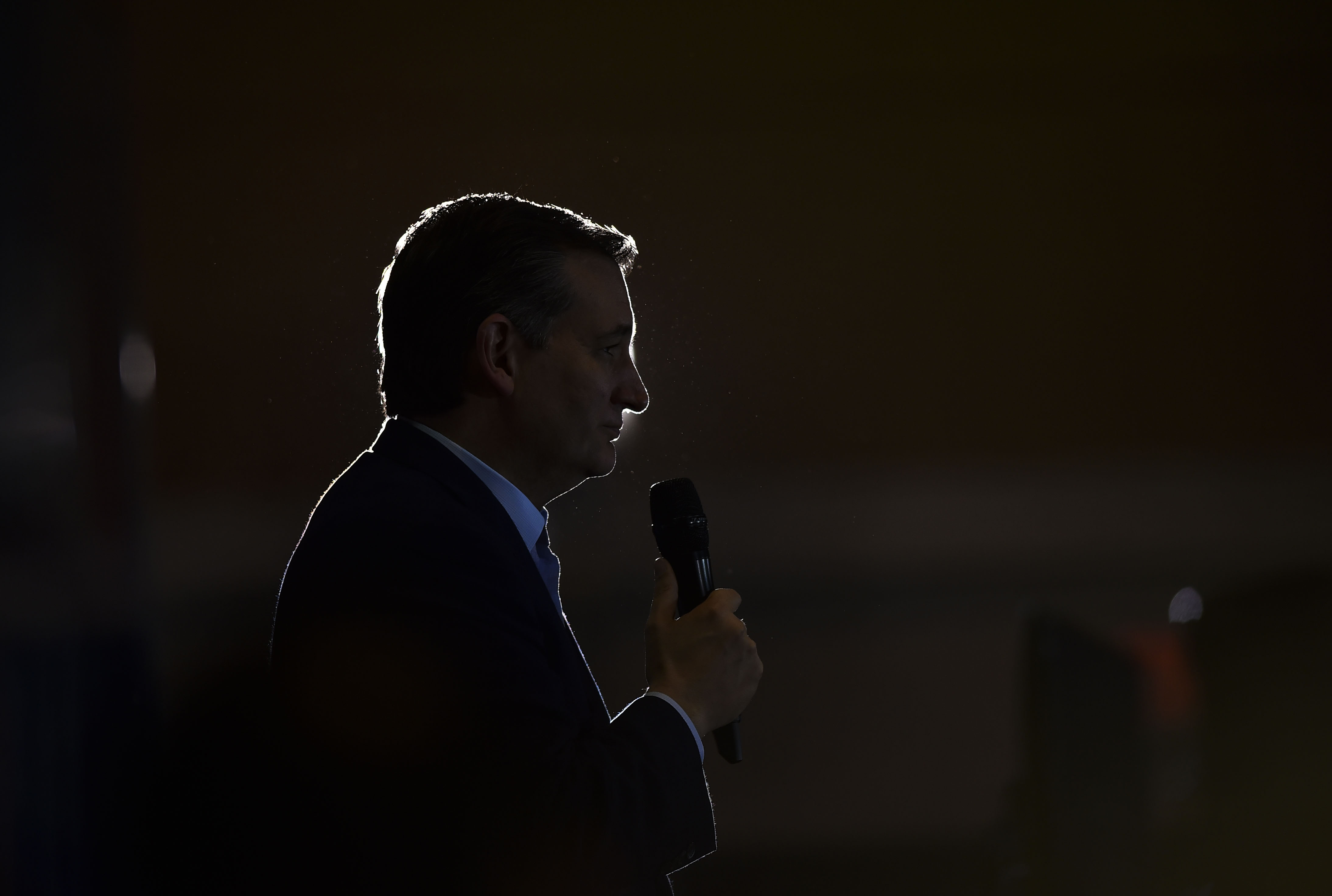 Republican presidential candidate Senator Ted Cruz addresses his supporters during a rally with his vice-presidential running mate, Carly Fiorina, at the Grand Wayne Convention Center in Fort Wayne, Ind., on April 28, 2016 (The Washington Post/Getty Images)