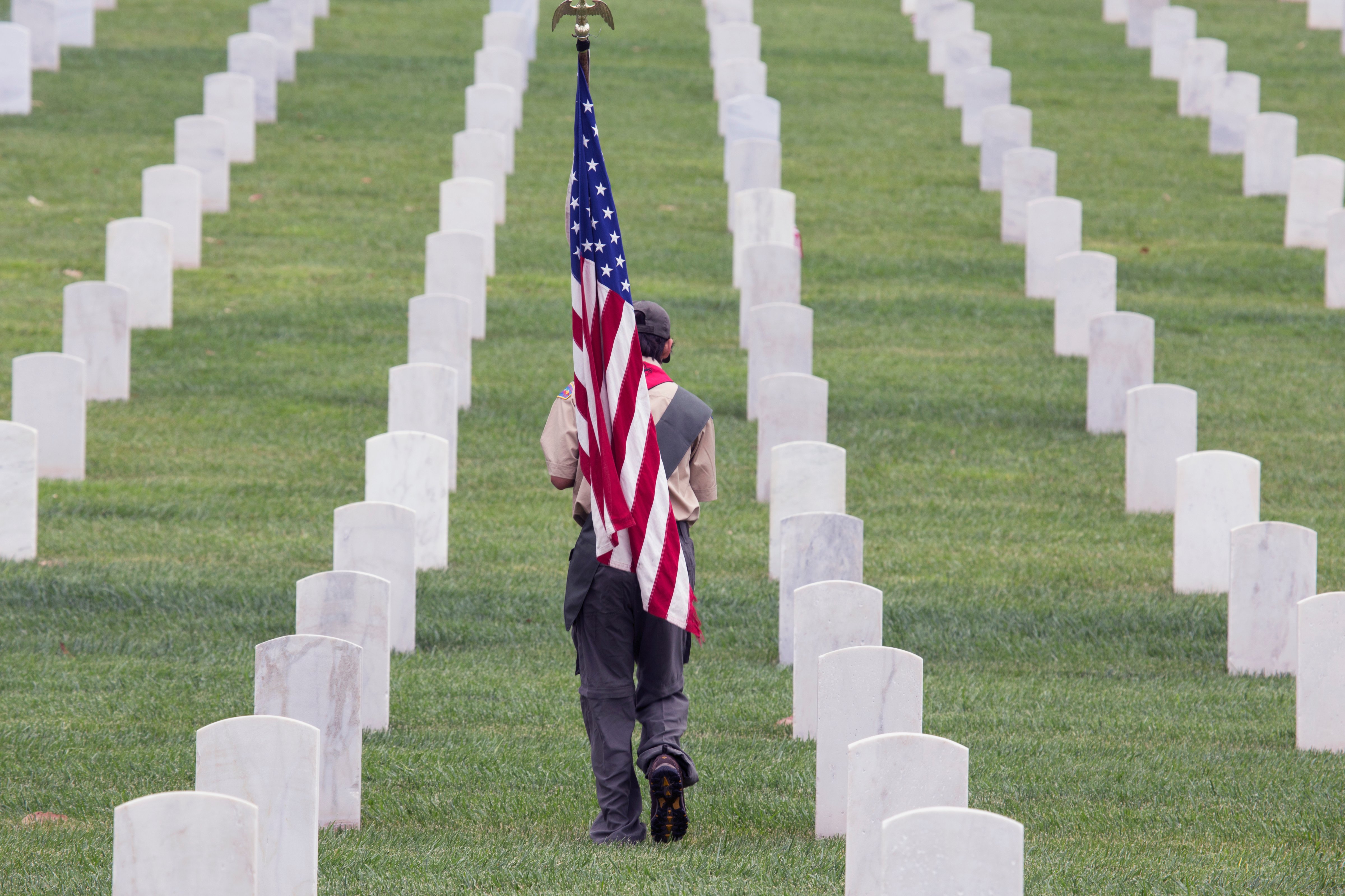 Boy scout places US Flags at 2014 Memorial Day Event, Los Angeles National Cemetery, California