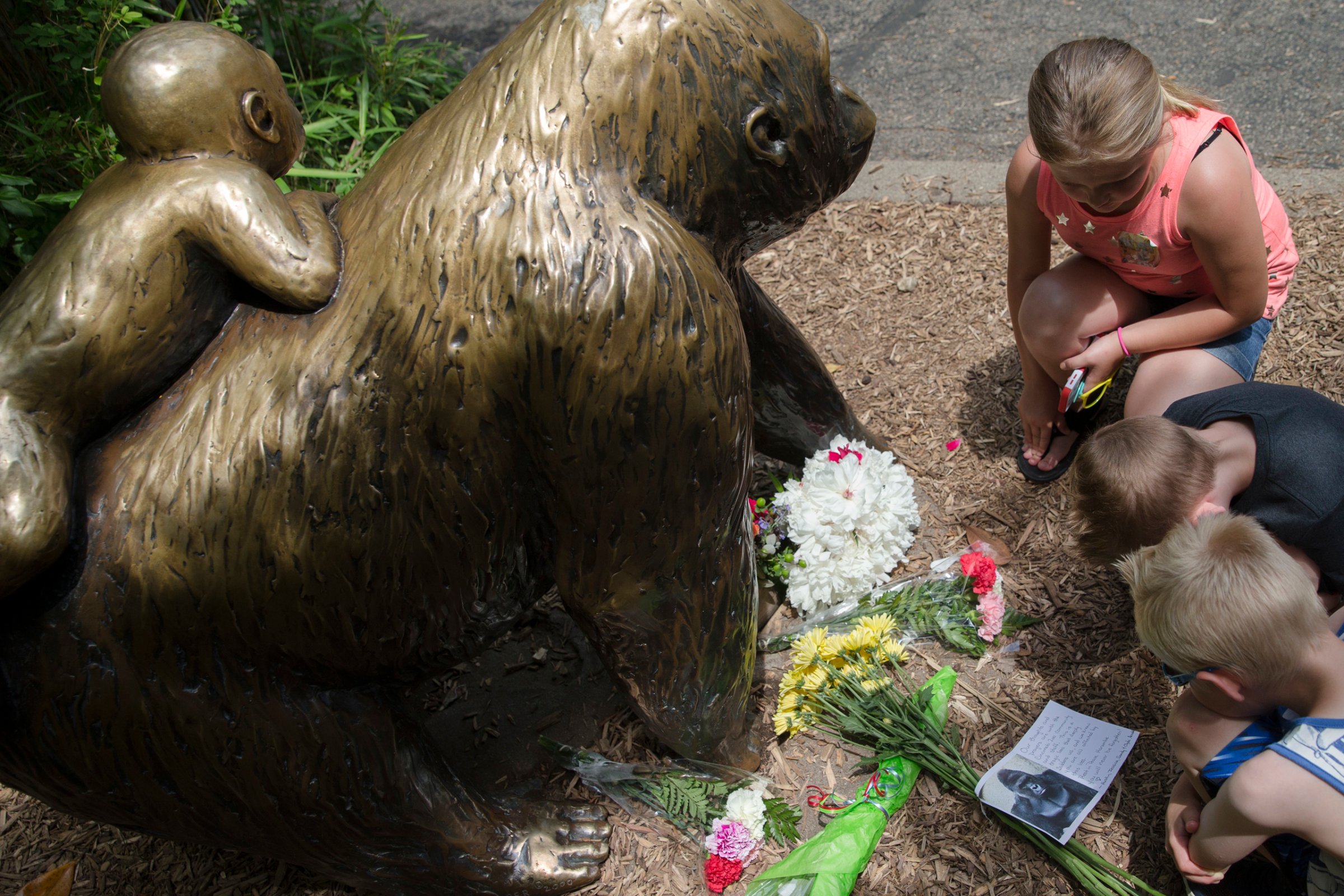Children pause at the feet of a gorilla statue where flowers and a sympathy card have been placed, outside the Gorilla World exhibit at the Cincinnati Zoo & Botanical Garden, Sunday, May 29, 2016, in Cincinnati. On Saturday, a special zoo response team shot and killed Harambe, a 17-year-old gorilla, that grabbed and dragged a 4-year-old boy who fell into the gorilla exhibit moat. Authorities said the boy is expected to recover. He was taken to Cincinnati Children's Hospital Medical Center. (AP Photo/John Minchillo)