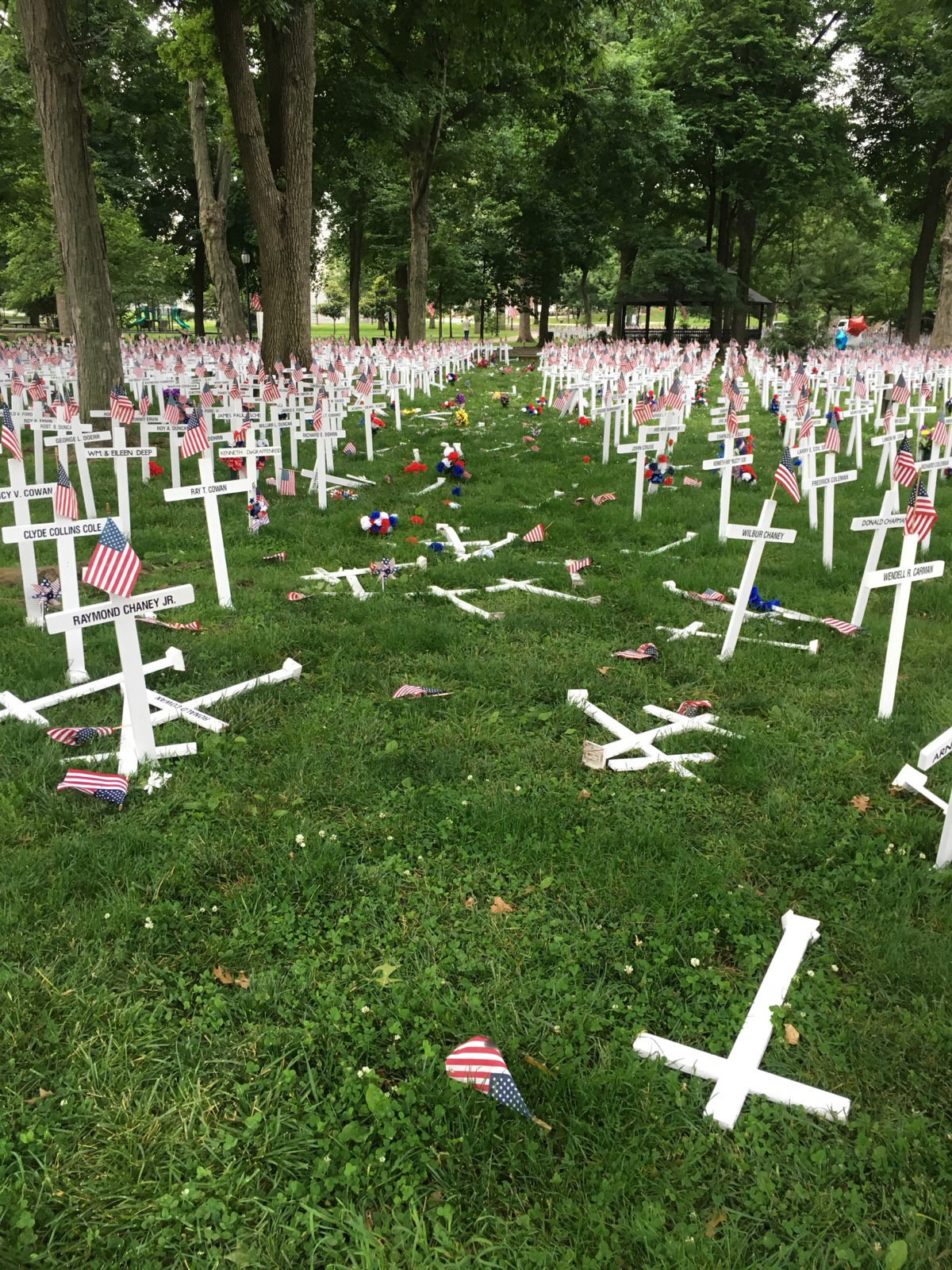 A Memorial Day display of crosses after a vehicle drove through them in Henderson, Ky.'s Central Park on May 28, 2016.