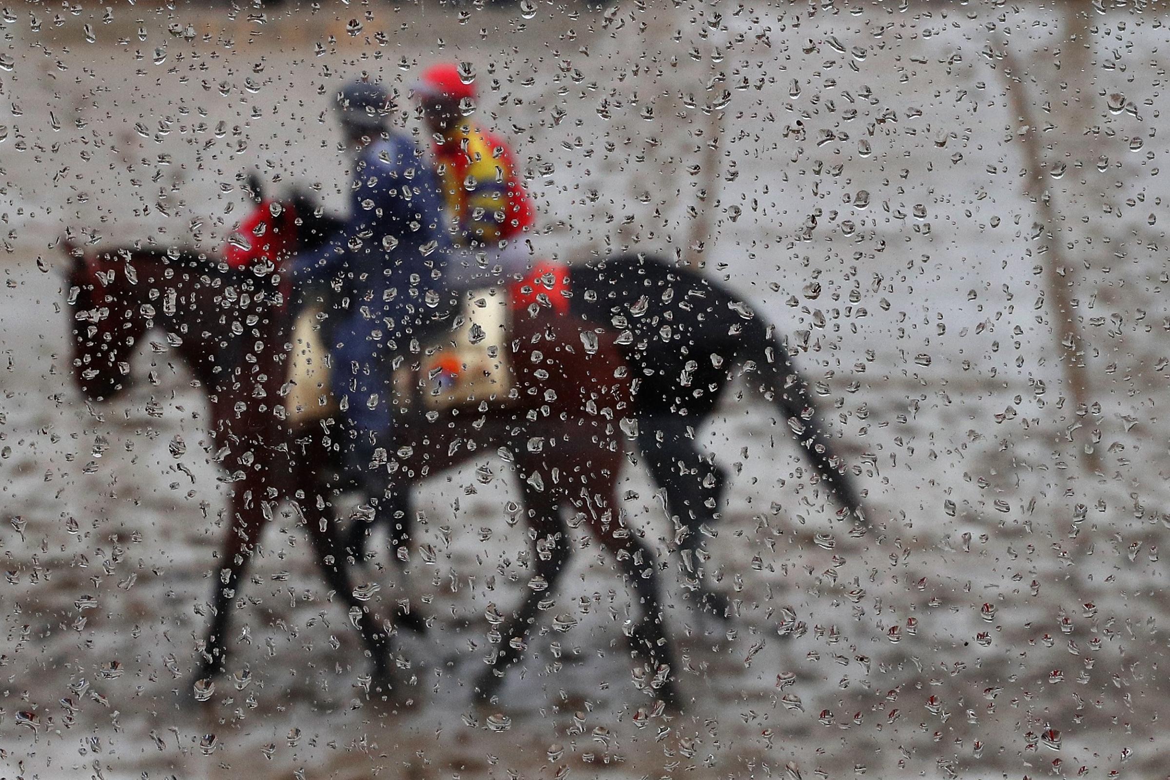 BALTIMORE, MD - MAY 21: Horses are paraded before a race prior to the 141st running of the Preakness Stakes at Pimlico Race Course on May 21, 2016 in Baltimore, Maryland. (Photo by Patrick Smith/Getty Images)