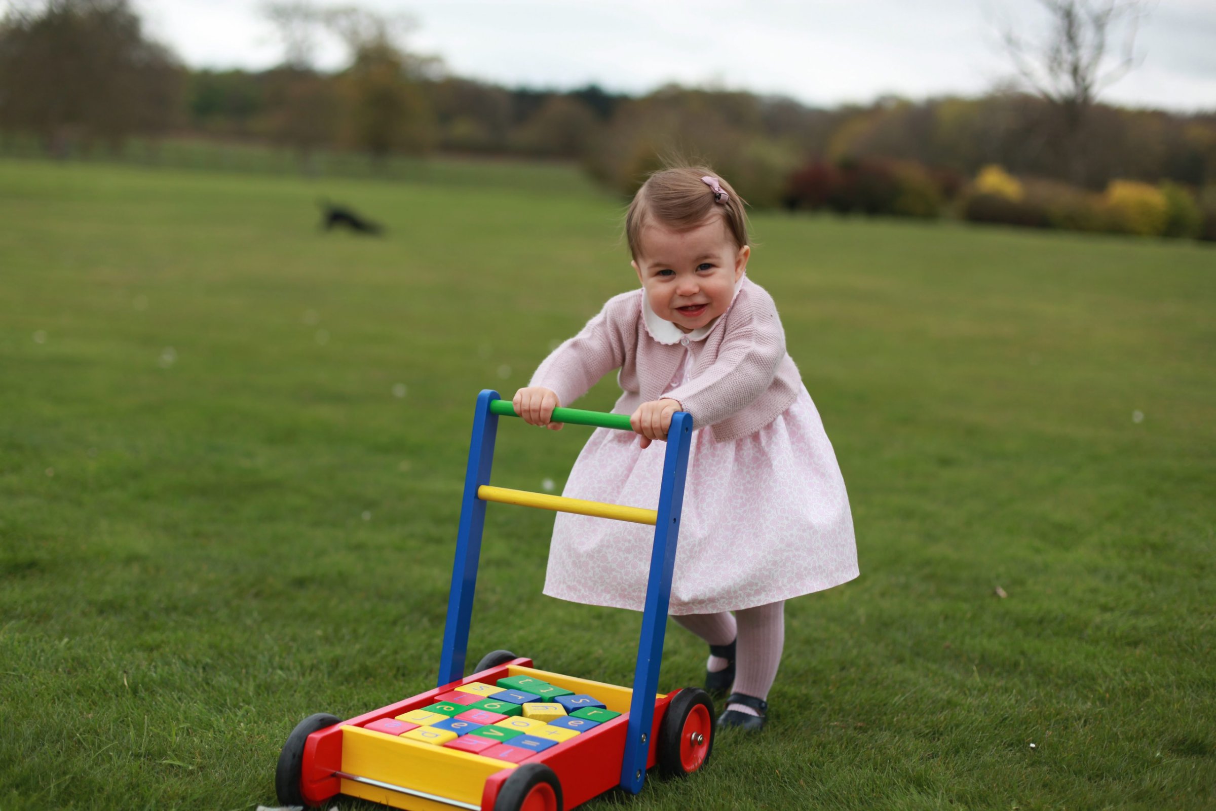 Princess Charlotte at the garden of Anmer Hall in Norfolk, U.K., in a photo made available by the Duke and Duchess of Cambridge on May 1, 2016.