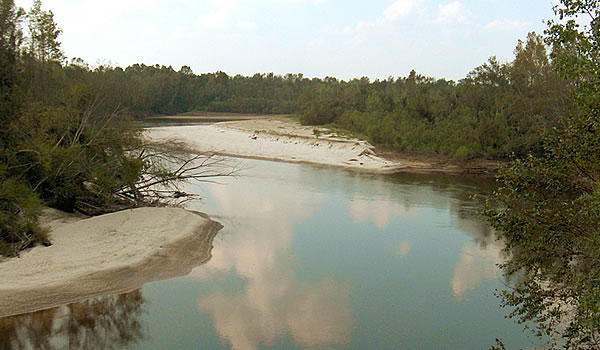 The Chickasawhay River (USDA Forest Service)