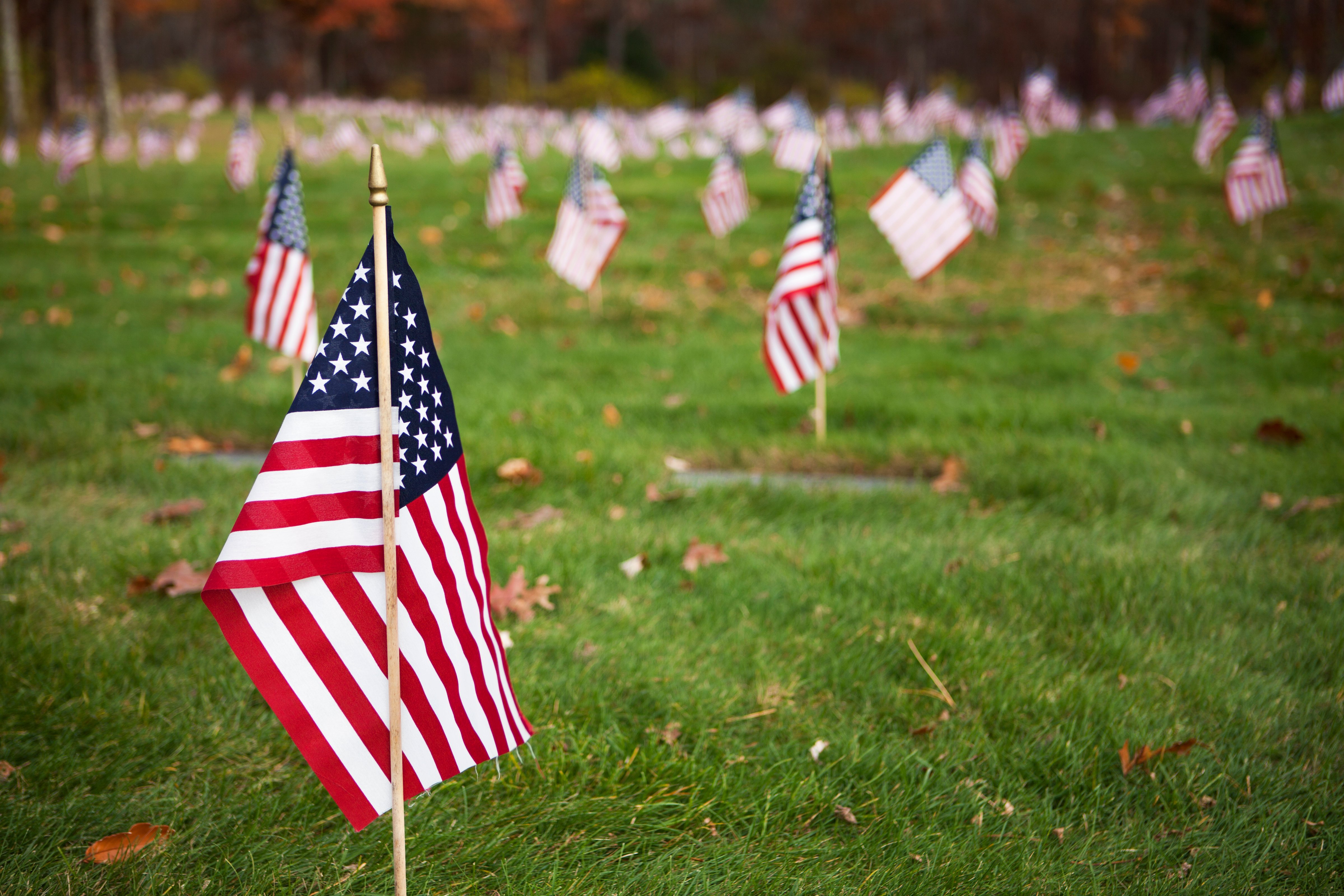 Small American flags on a cemetery
