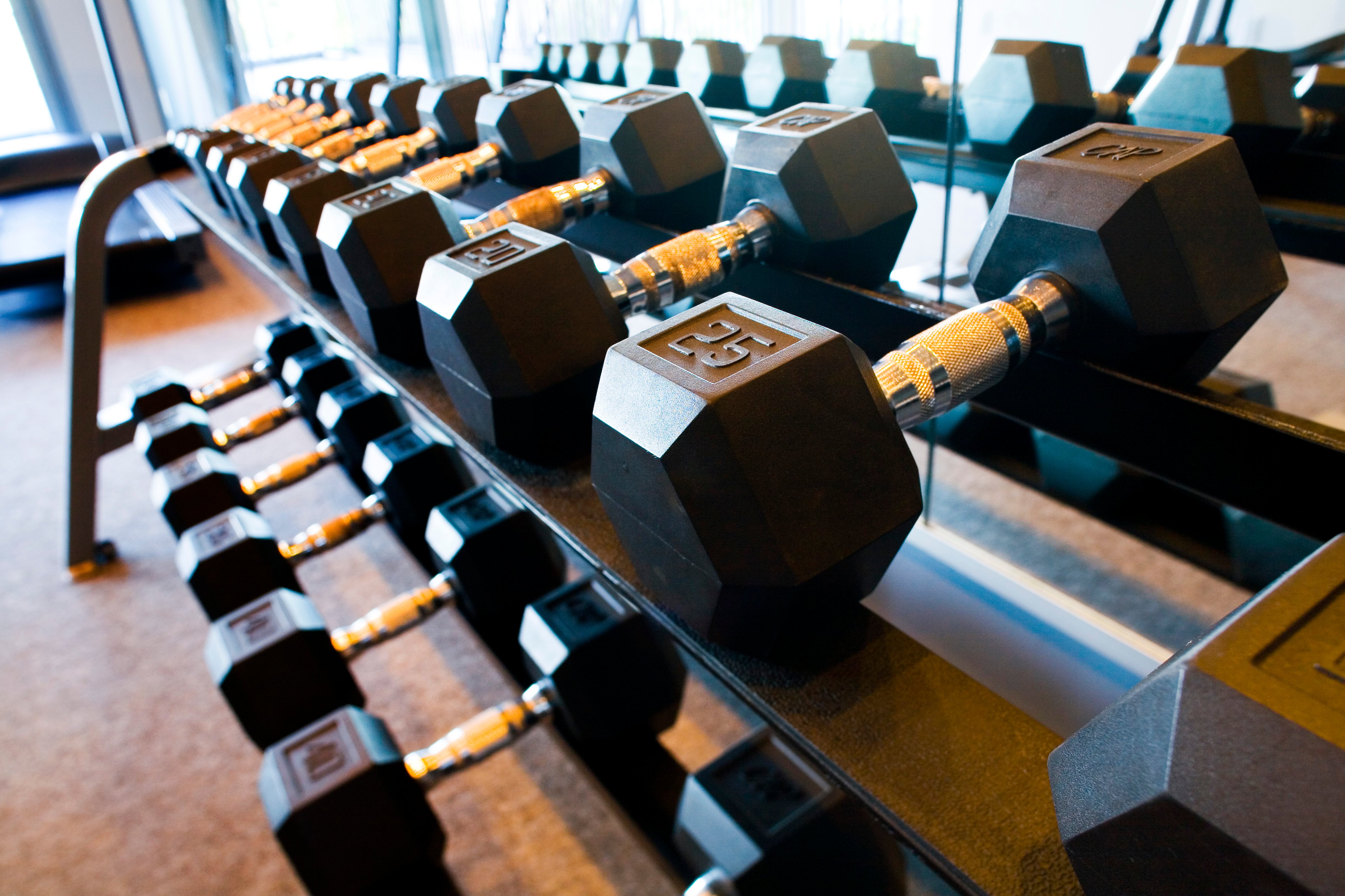 Line of Free Weights (LOOK Photography—Getty Images/Uppercut RF)