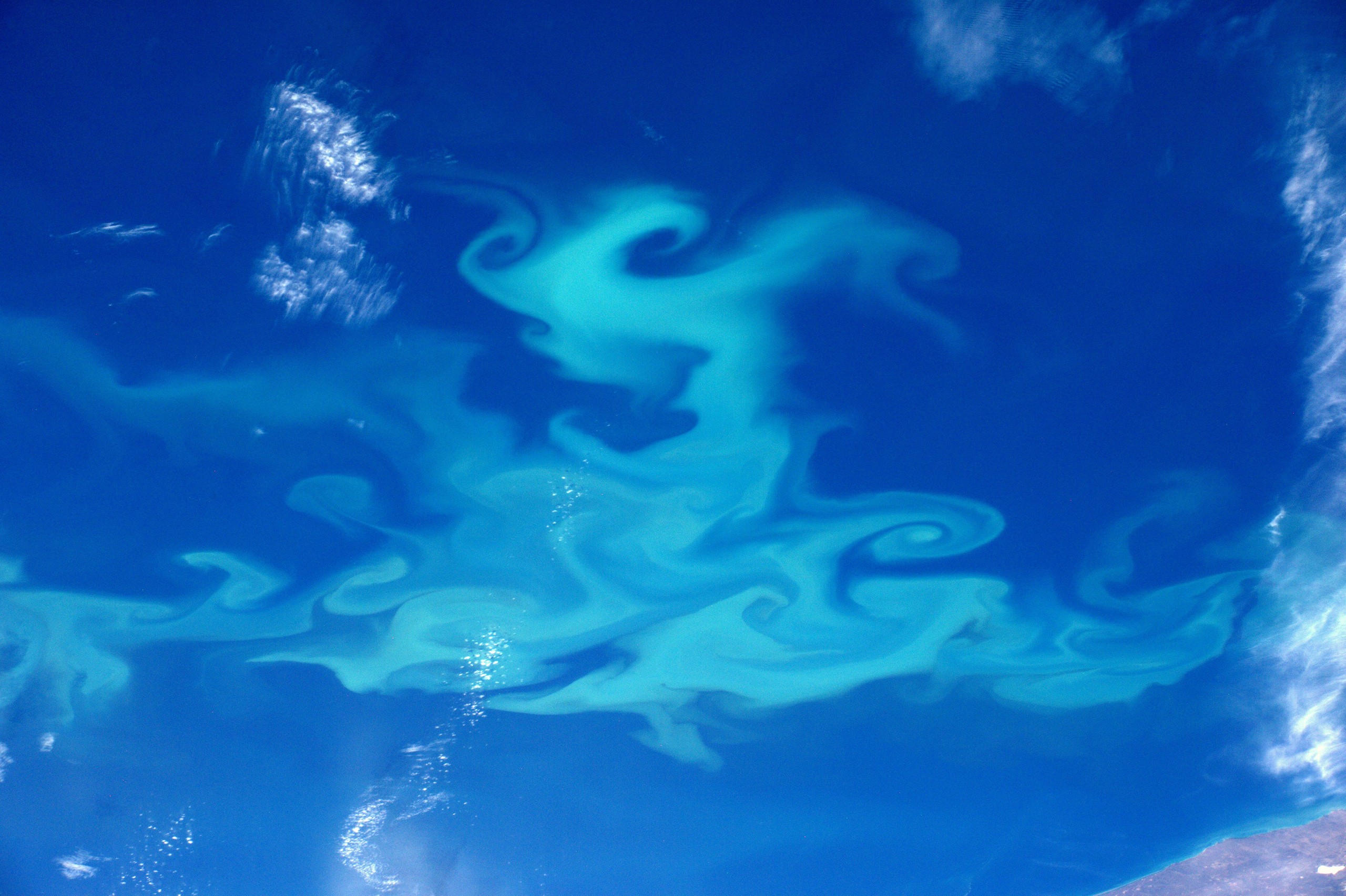 A swirling plankton bloom off the coast of Patagonia,  Argentina, April 1, 2016.