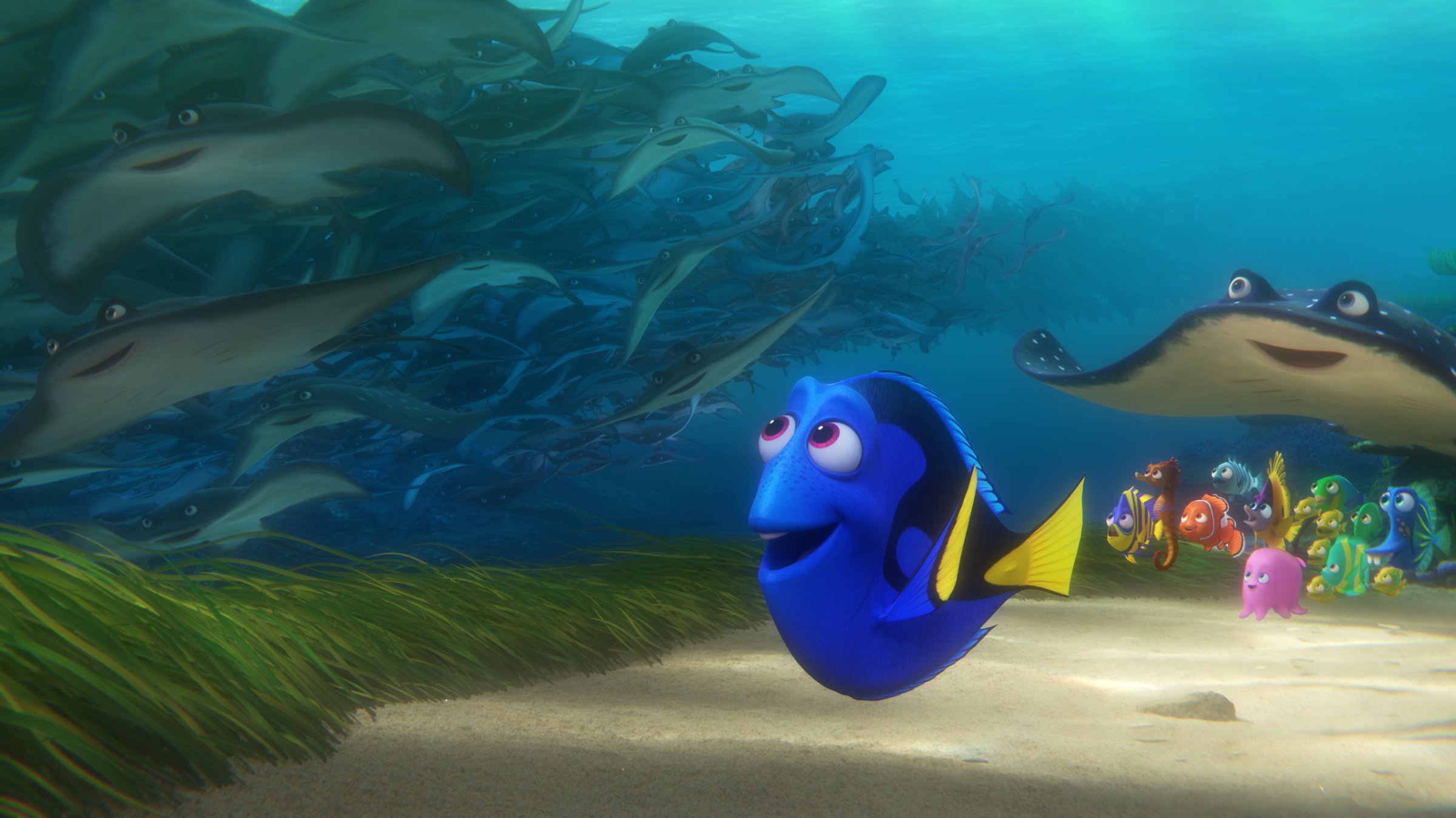 In "Finding Dory," memories of her past are sparked for forgetful blue tang Dory when a stingray migration whizzes by her.