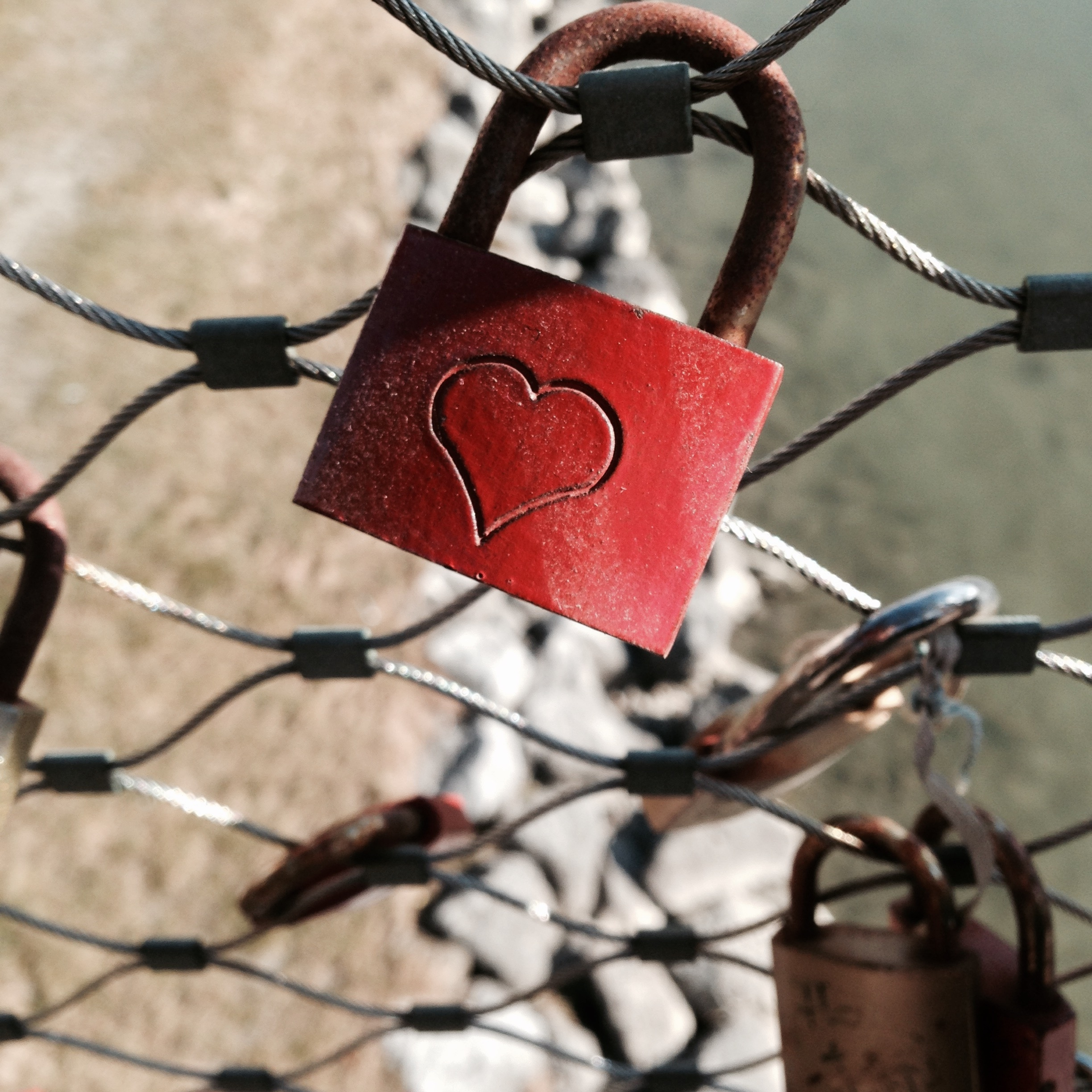 Love Locks On Pont Des Arts