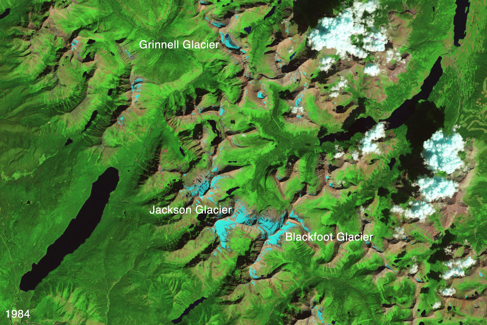 Montana's Glacier National Park on Aug. 17, 1984, and Aug. 23, 2015. (Jesse Allen—NASA Earth Observatory)