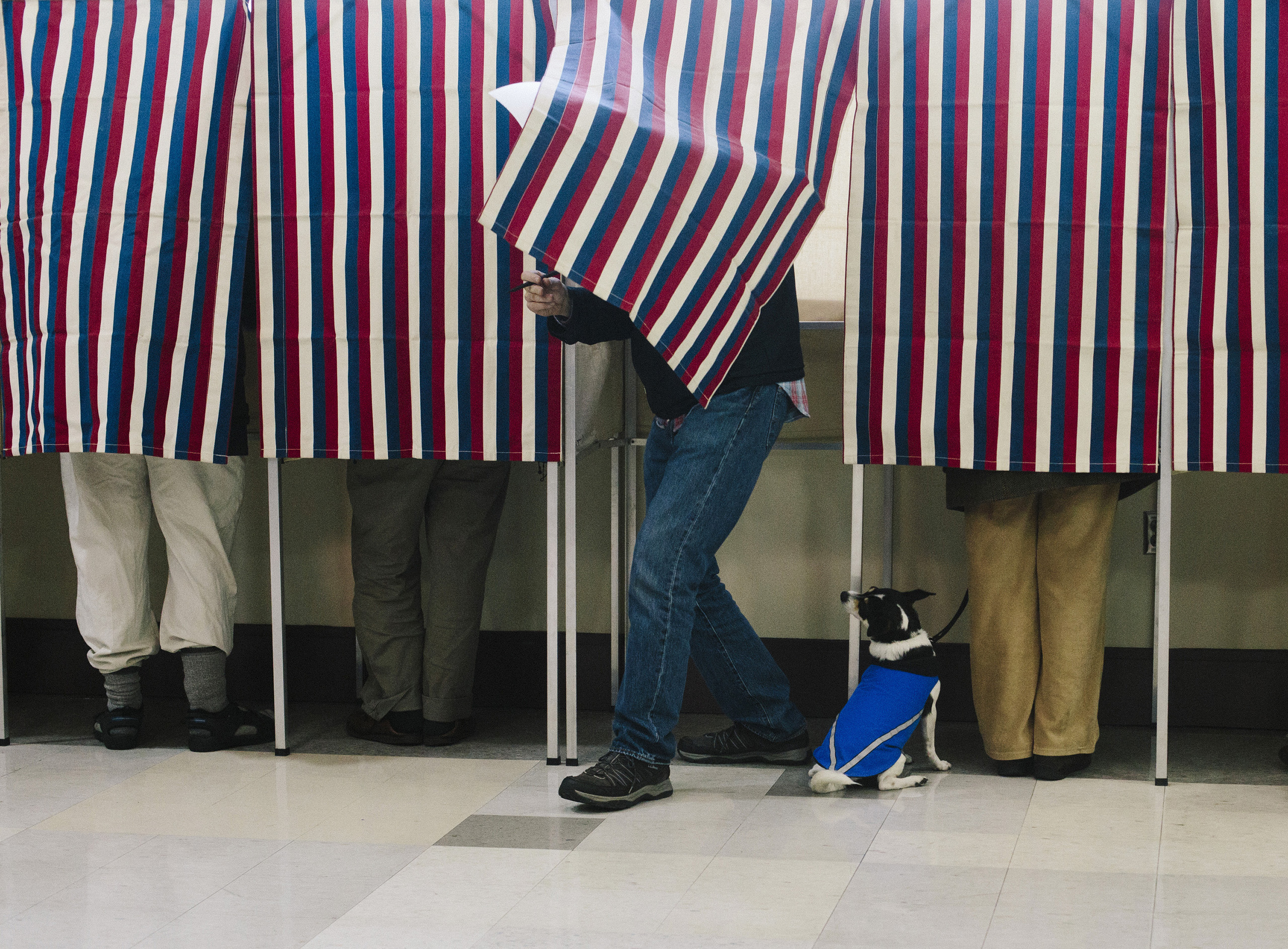 Voters at the Merrill Auditorium Rehearsal Hall in Portland, Maine, on Nov. 4, 2014. (Whitney Hayward—Portland Press Herald/Getty Images)