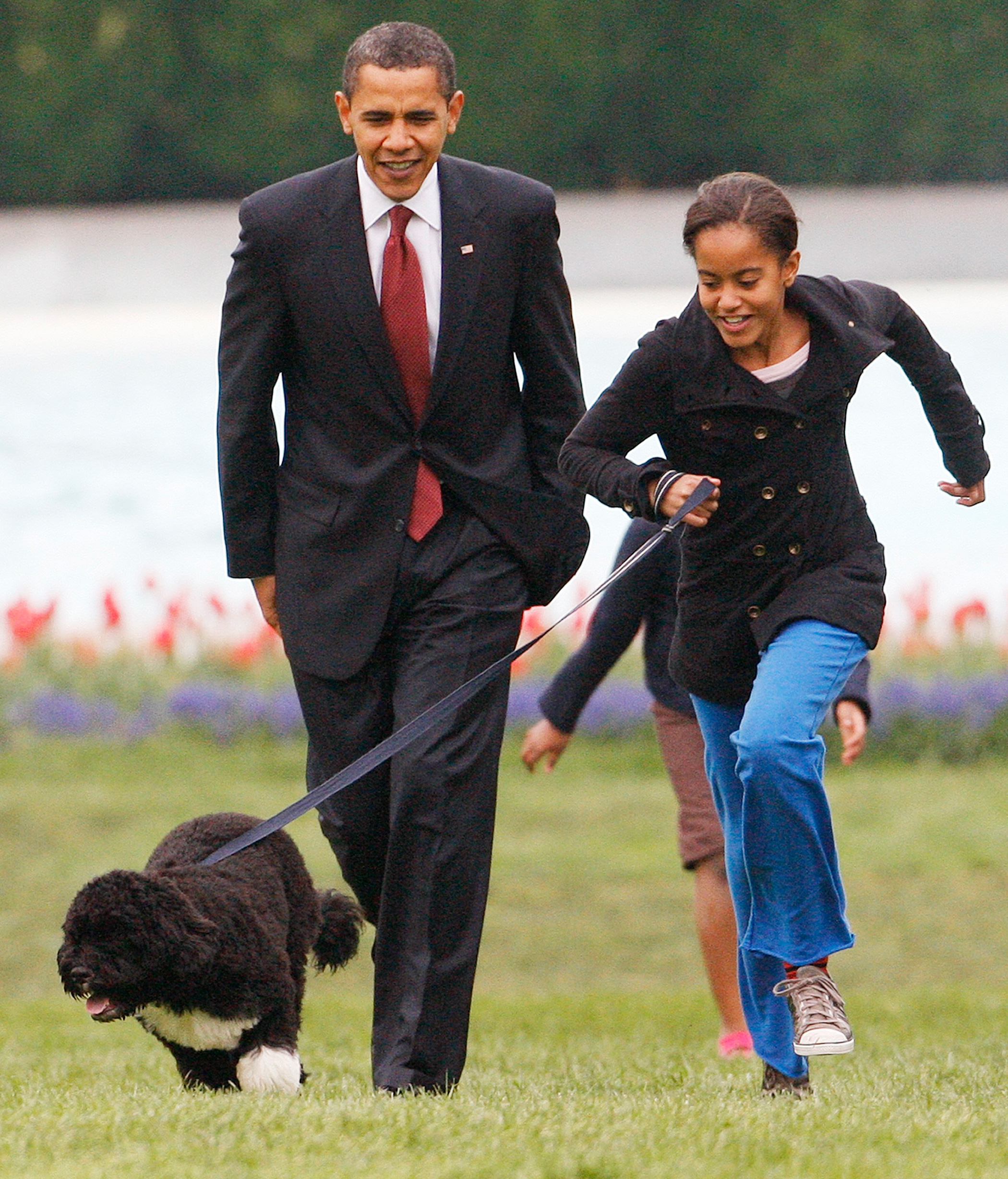 April 14, 2009 
                              Malia walks their new dog Bo with President Barack Obama  on the South Lawn of the White House in Washington.