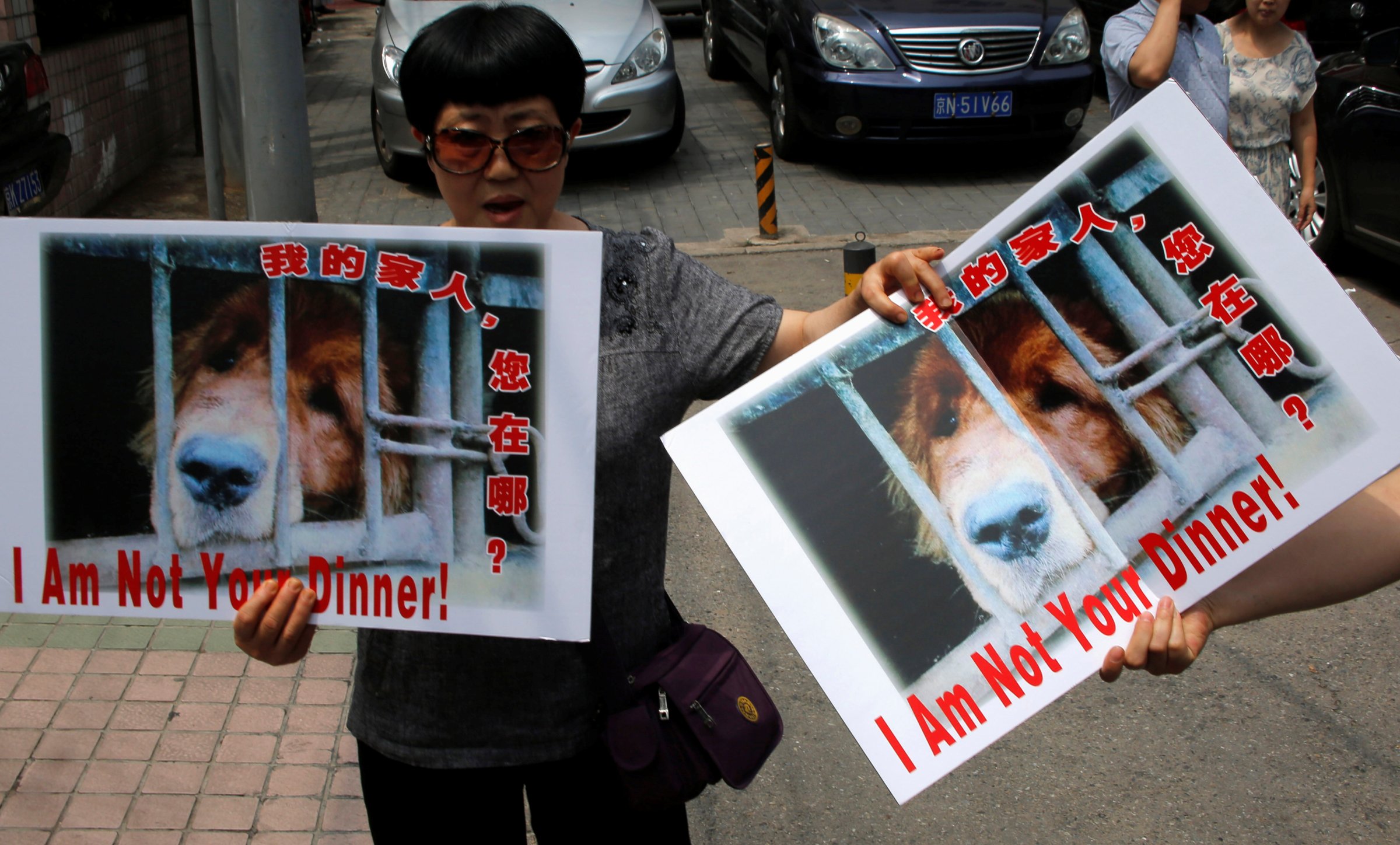 Animal activists hold banners against Yulin Dog Meat Festival in front of Yulin City Representative office in Beijing