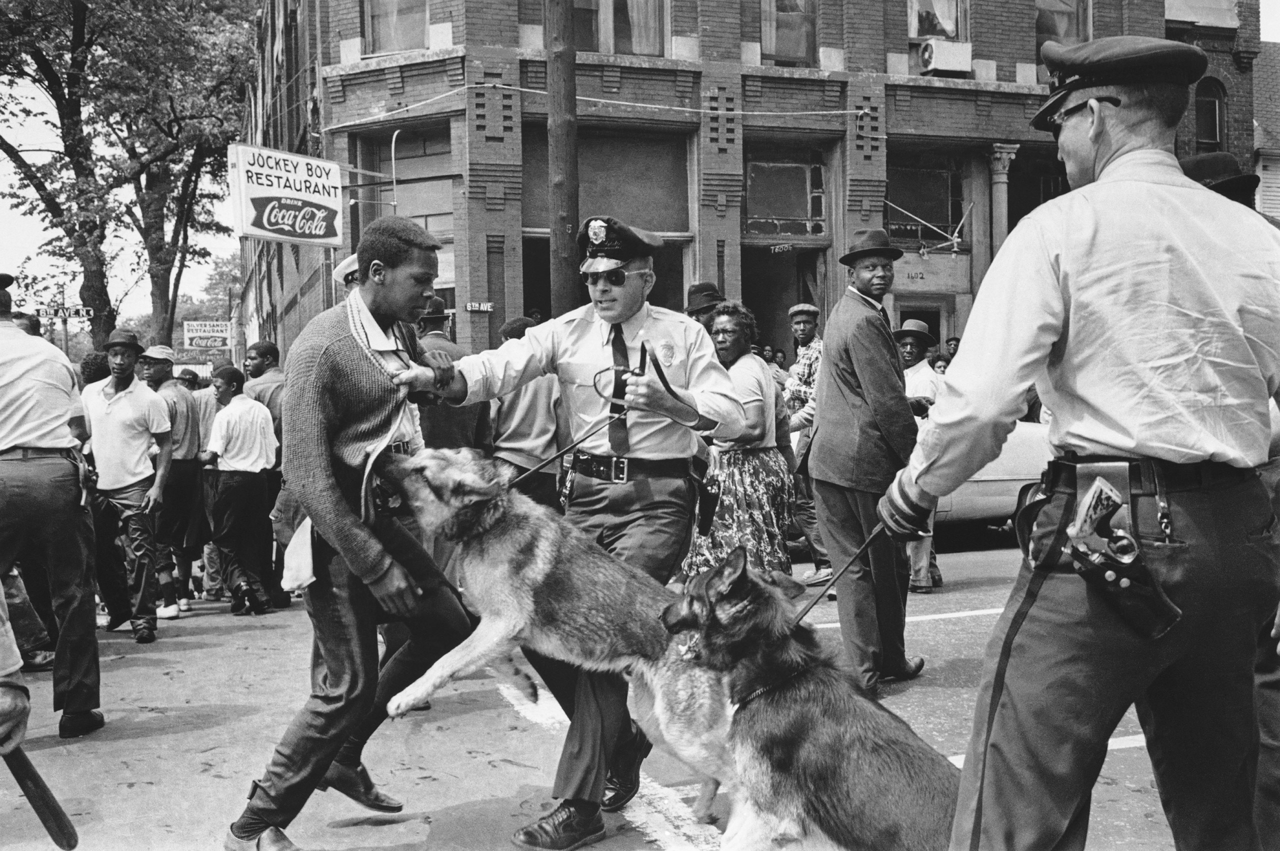 A 17-year-old civil rights demonstrator, defying an anti-parade ordinance of Birmingham, Ala., is attacked by a police dog on May 3, 1963.