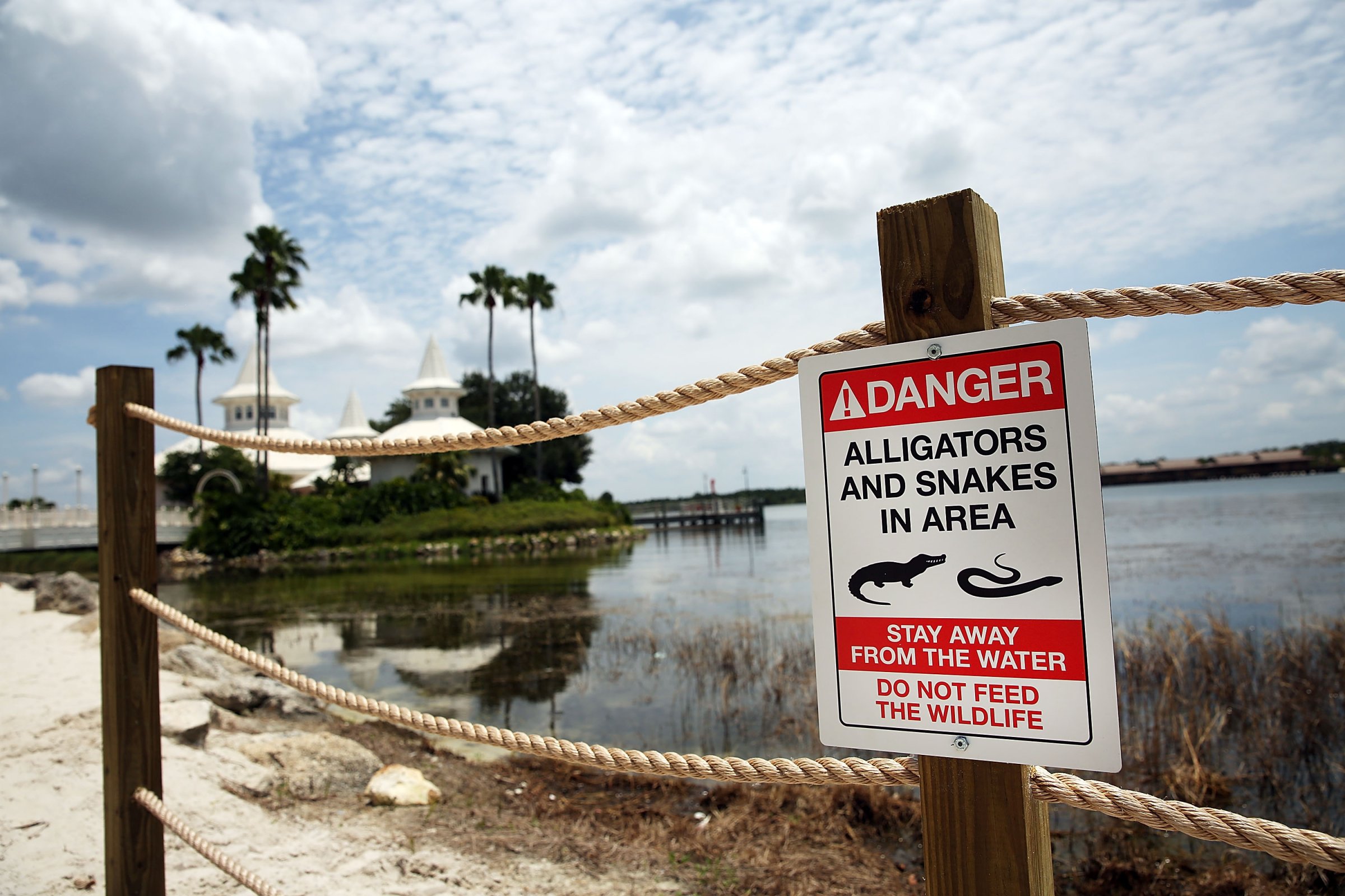 Disney Installs Alligator Warning Signs In Aftermath Of Toddler Death At One Of Its Resorts