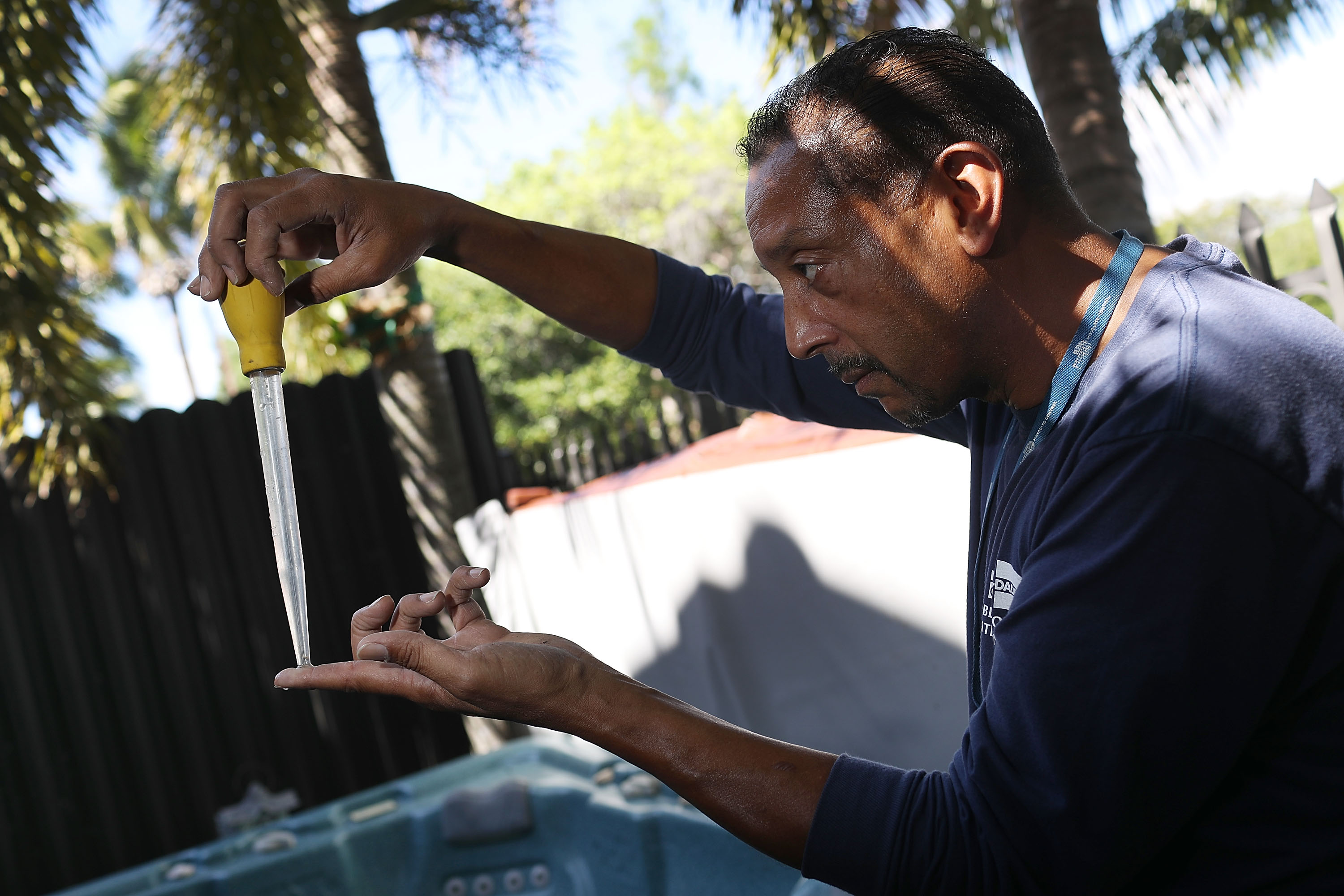 Larry Smart, a Miami-Dade County mosquito control inspector, looks at a mosquito larva in a sample of water taken from standing water before using a pesticide to eradicate the larva as the county continues to be proactive in fighting a possible Zika virus outbreak on May 26, 2016. (Joe Raedle—Getty Images)