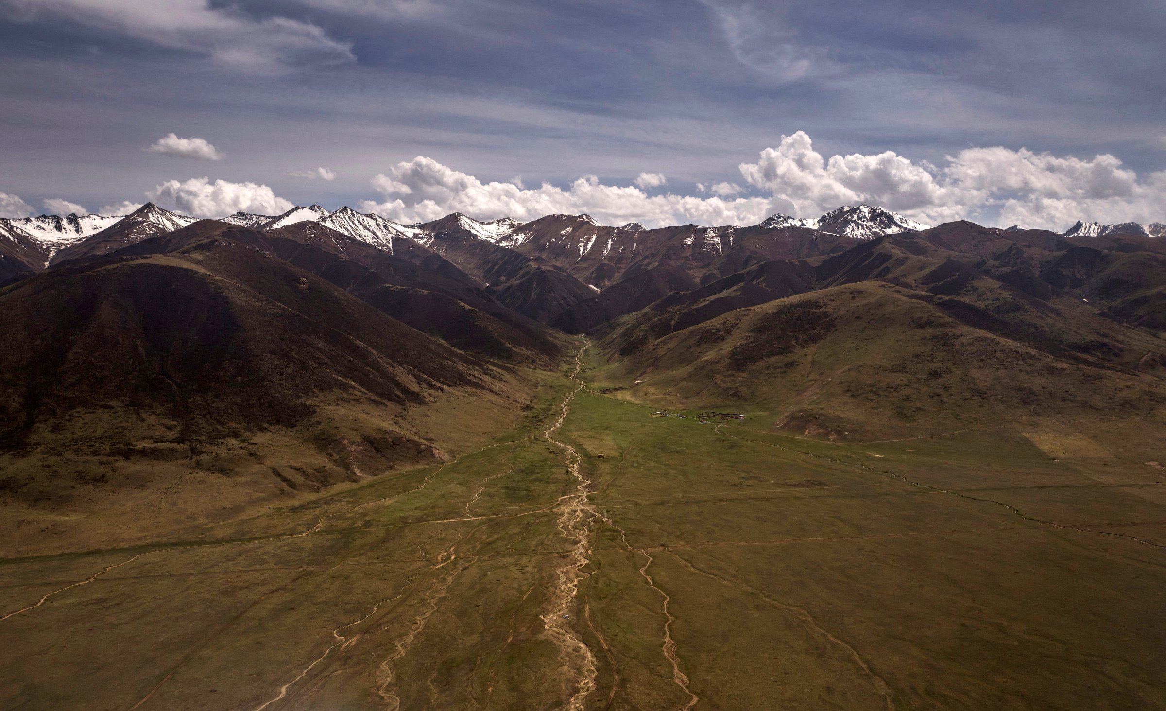 Search For Prized Fungus A Way Of Life On Tibetan Plateau