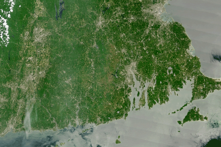 An outbreak of gypsy moth caterpillars was so severe that defoliation was apparent in satellite imagery collected by NASA’s Aqua and Terra satellites on May 25, 2016 and June 26, 2016. Healthy forests appear green, while defoliated areas have a gray-brown tint.