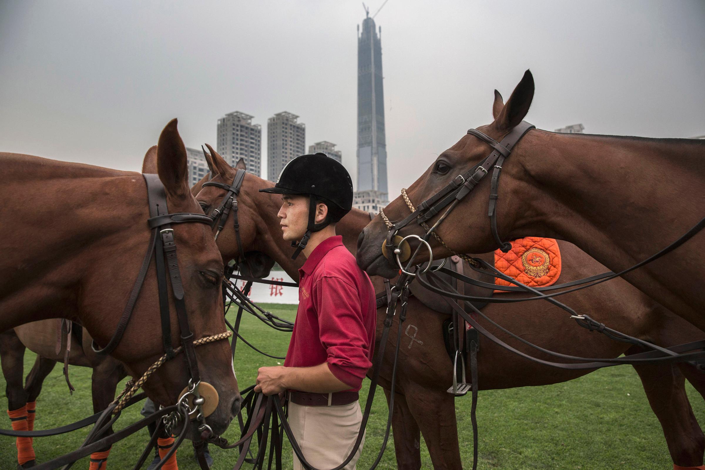 A horse trainer stands with polo horses during an intervarsity tournament match at the Tianjin Goldin Metropolitan Polo Club in Tianjin, China, on July 16, 2016.
