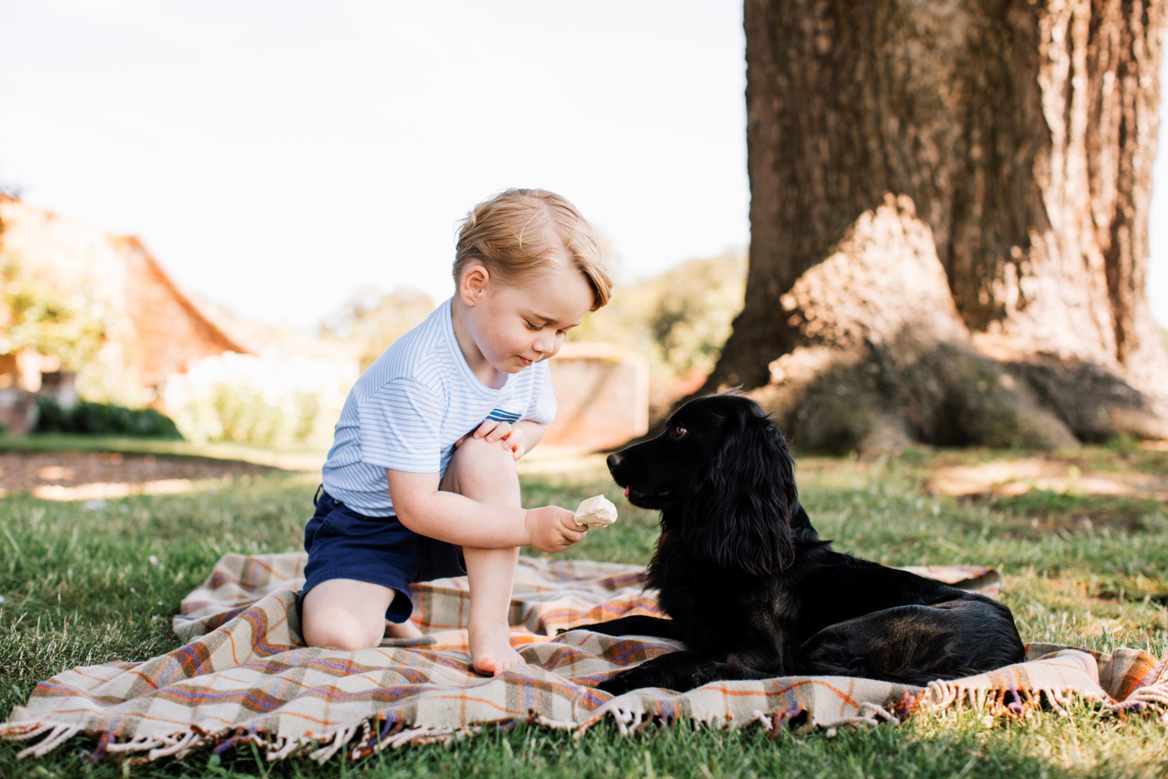 Britain's Prince George is seen with the family pet dog, Lupo, in this photograph taken in mid-July at his home in Norfolk and released by Kensington Palace to mark his third birthday, in London, July 22, 2016.