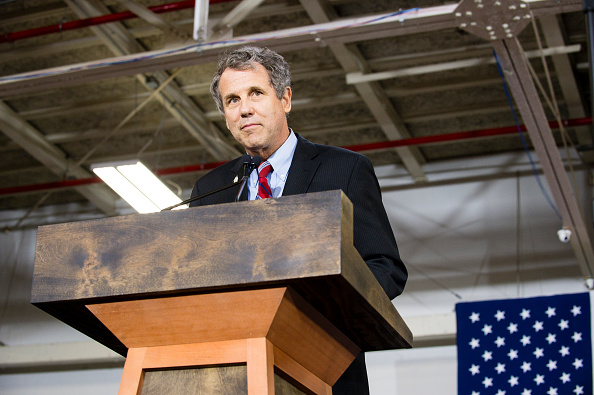 Sen. Sherrod Brown (D-OH) speaks at a campaign rally for Democratic presidential candidate Hillary Clinton on June 13, 2016 in Cleveland, Ohio.
