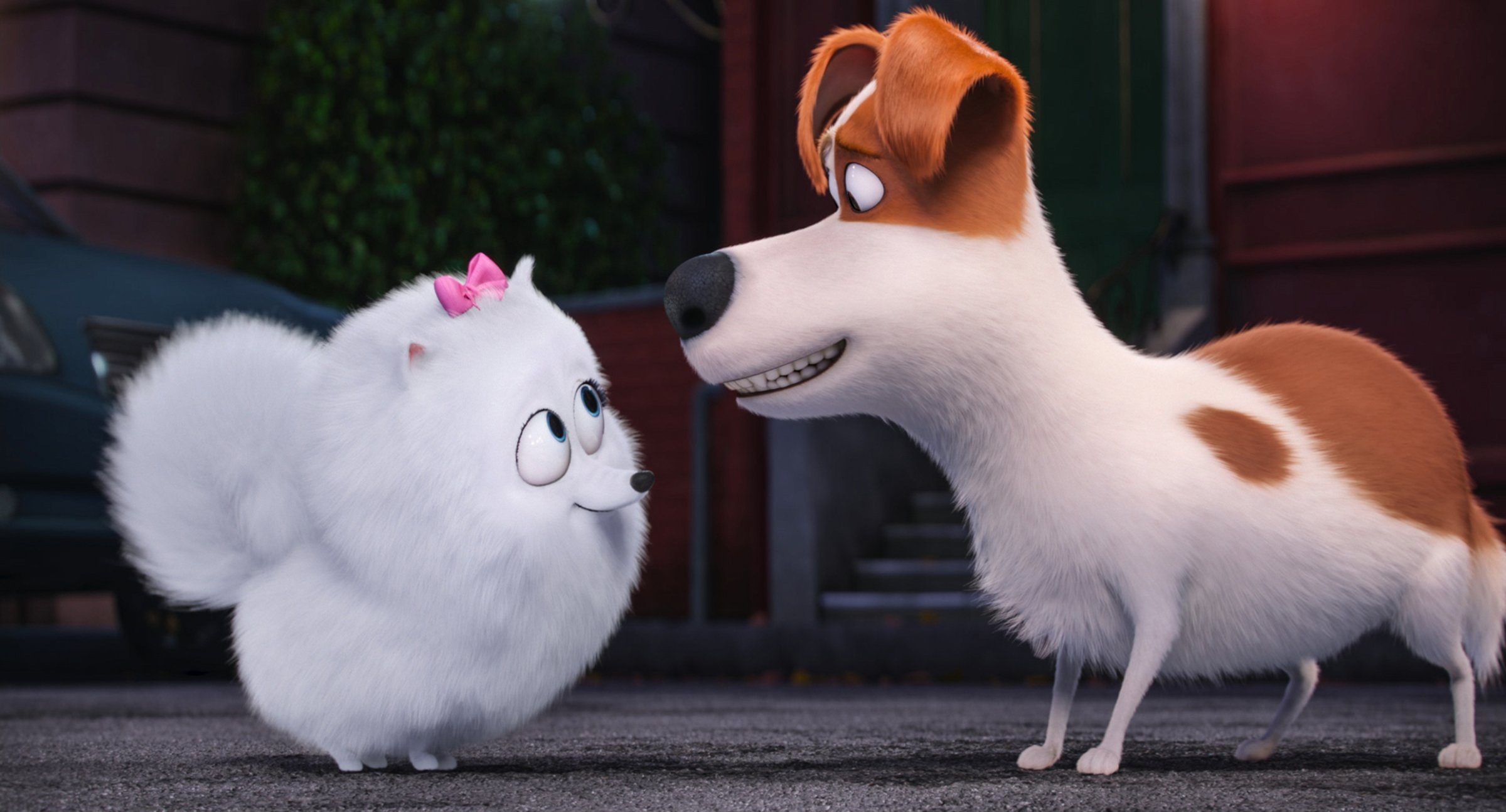 Gidget, voiced by Jenny Slate, left, and Max, voiced by Louis C.K. in The Secret Lives of Pets.