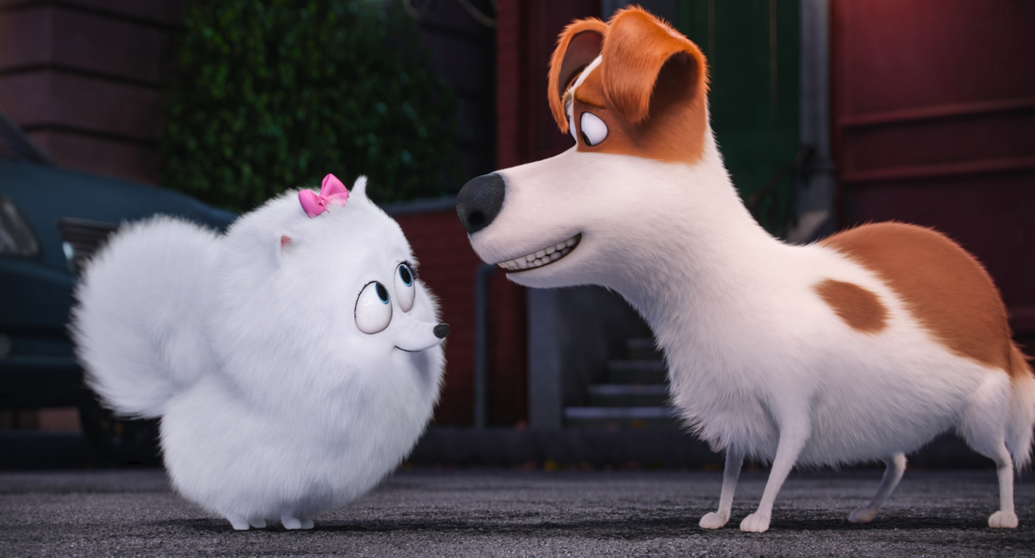 Gidget, voiced by Jenny Slate, left, and Max, voiced by Louis C.K., right, in <i>The Secret Lives of Pets</i>. (Illumination Entertainment and Universal Pictures/AP)