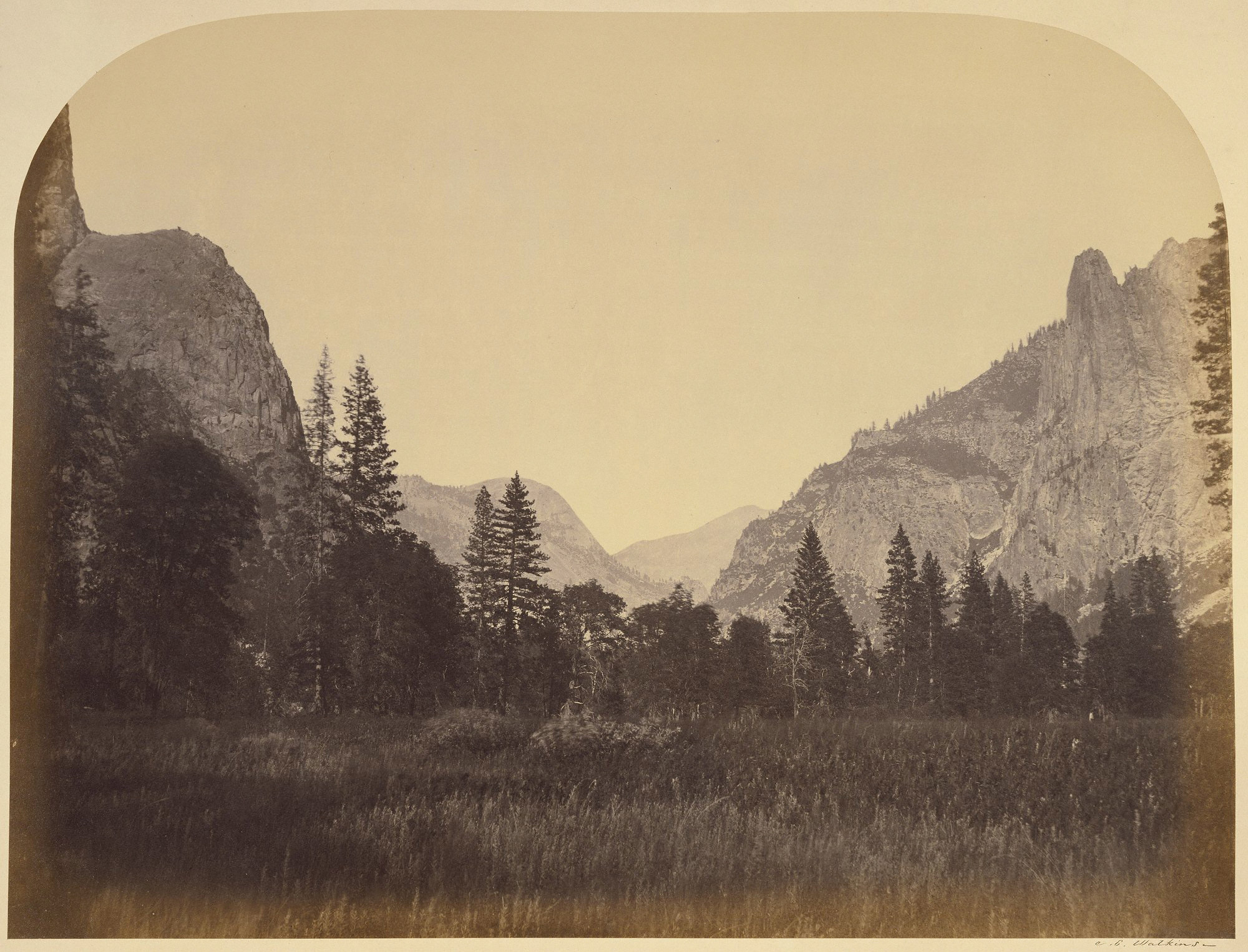 Up the Valley - Yo Semite. 1861.