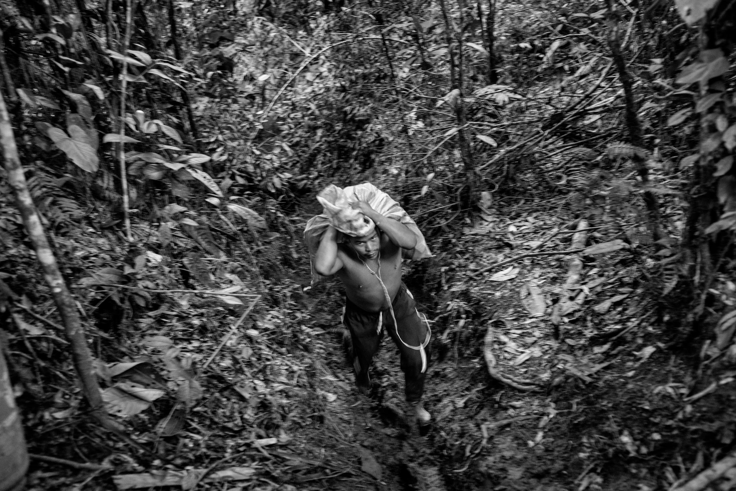 A guerrilla member of the FARC carries supplies to a camp, Cauca, Colombia, July 2016.