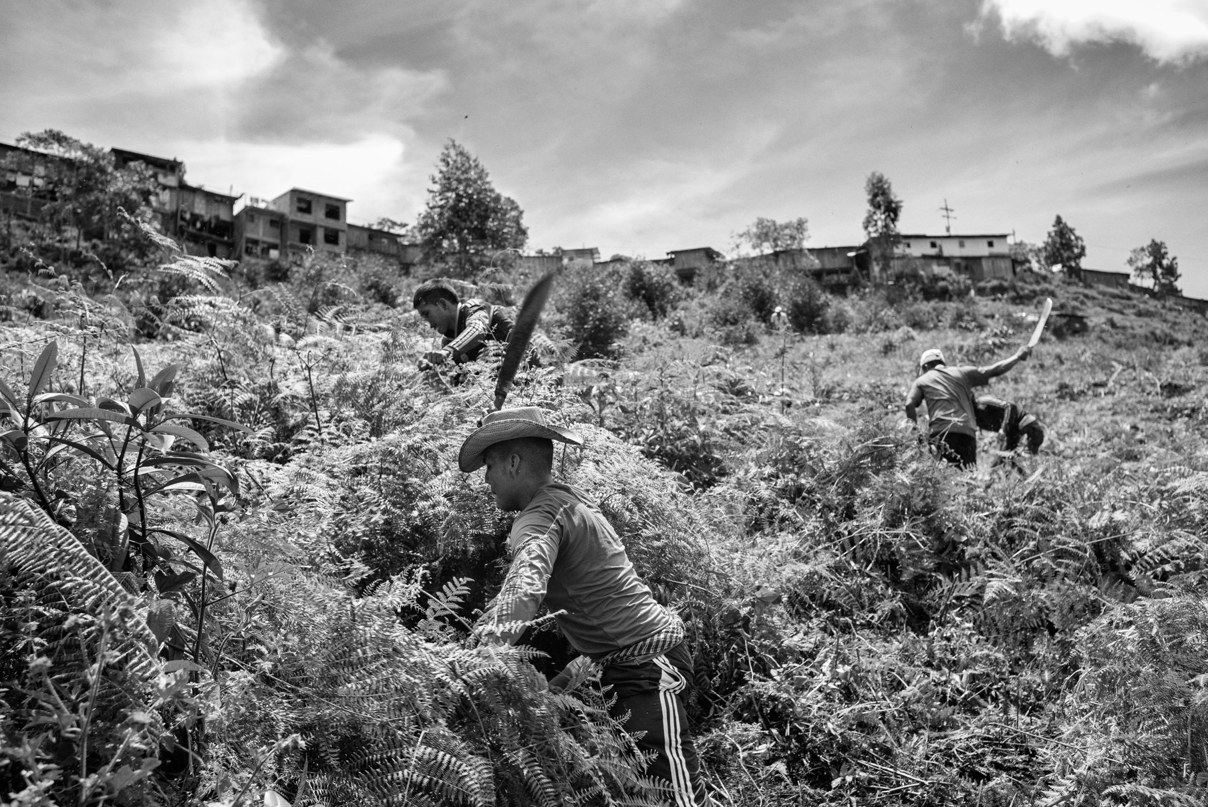 A group of FARC guerrillas and civilians perform community work in the community Robles Cauca, Colombia, July 2016. Many regions in Colombia have lived for 52 years under the control of FARC as the only authority. The peace agreement reached Aug. 24, 2016, has raised doubts and fears among civilians about the future that awaits their communities neglected by the state.