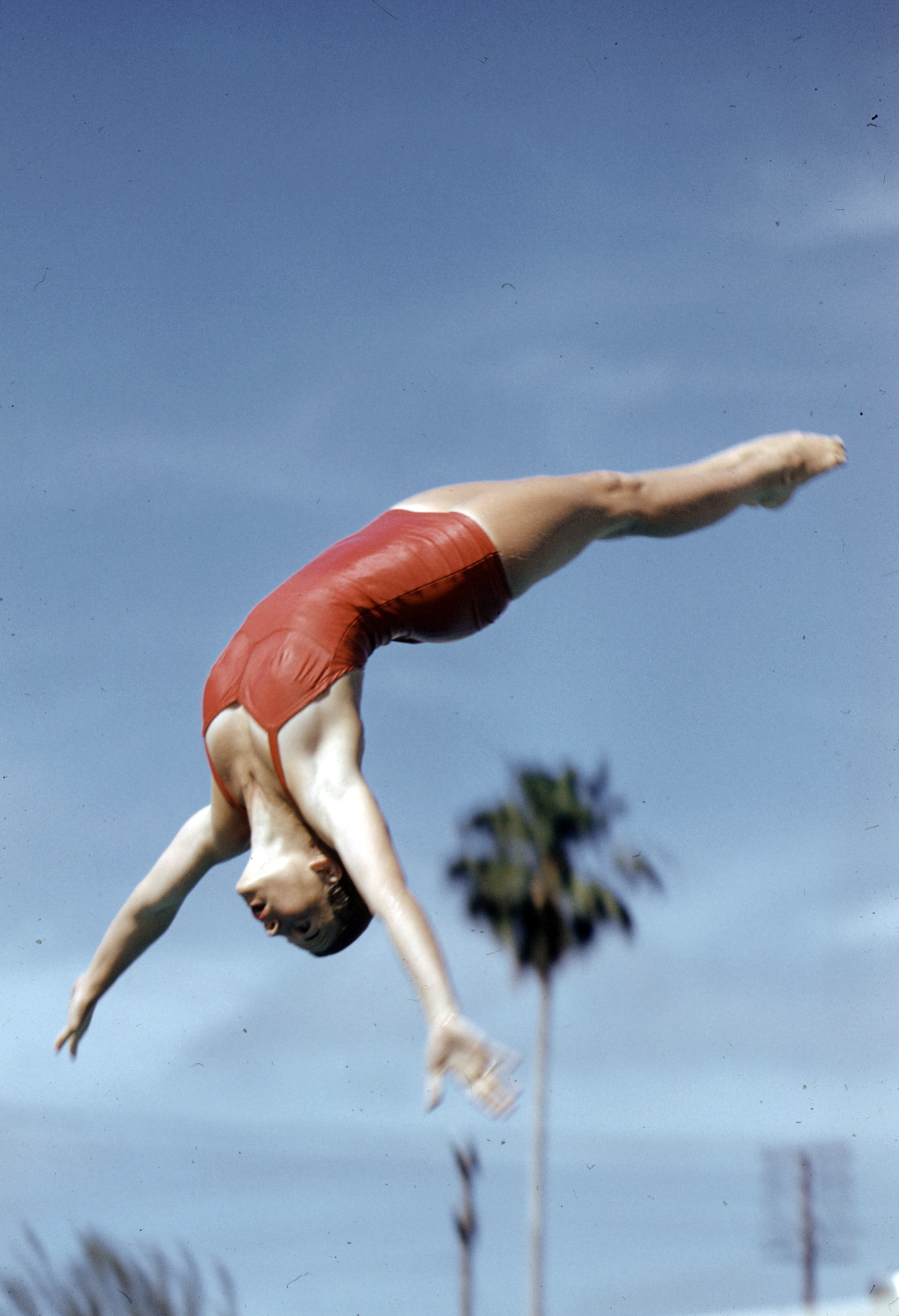 Women's diving champions in Florida, 1959.