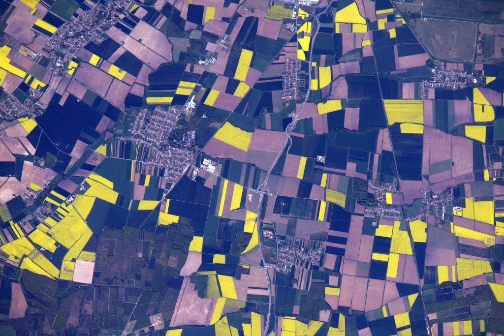 Bright yellow plots of rape seed growning in Szombathely, Hungary