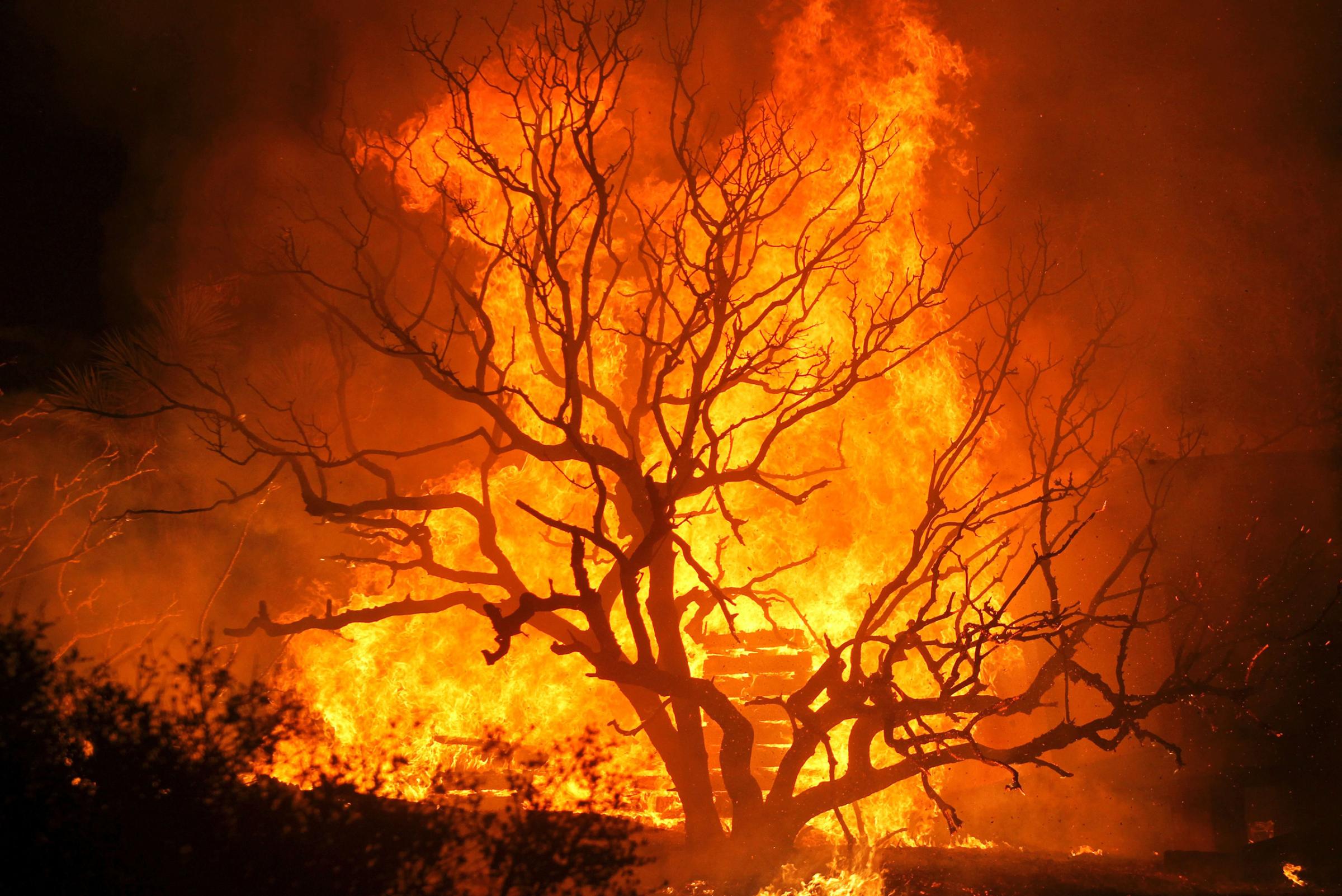 The Blue Cut wildfire burns structures and trees near Cajon Pass, north of San Bernardino, Calif., Aug. 16, 2016.