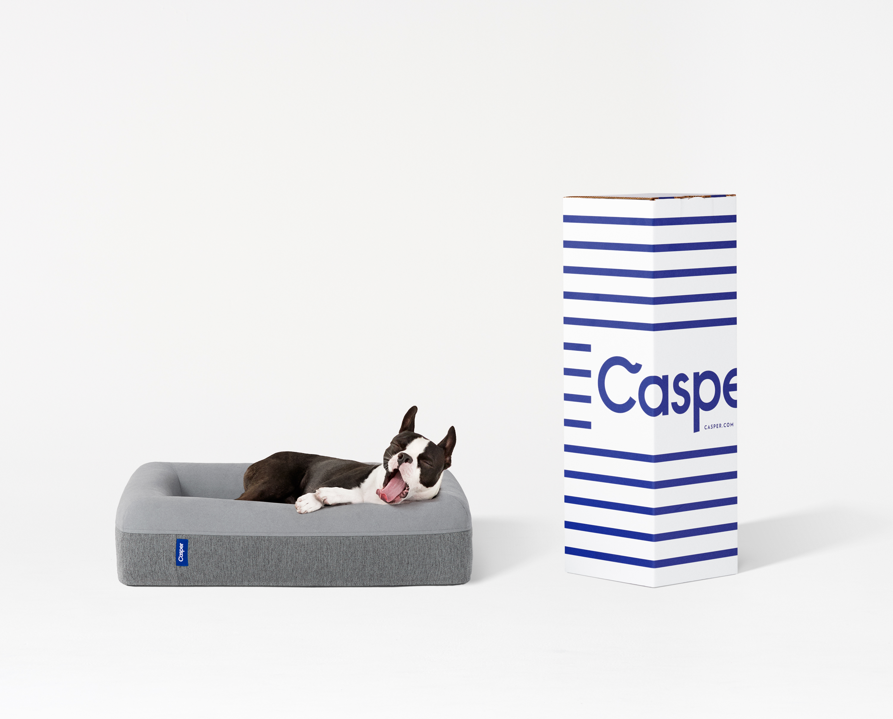 Casper Dog Bed (Casper)