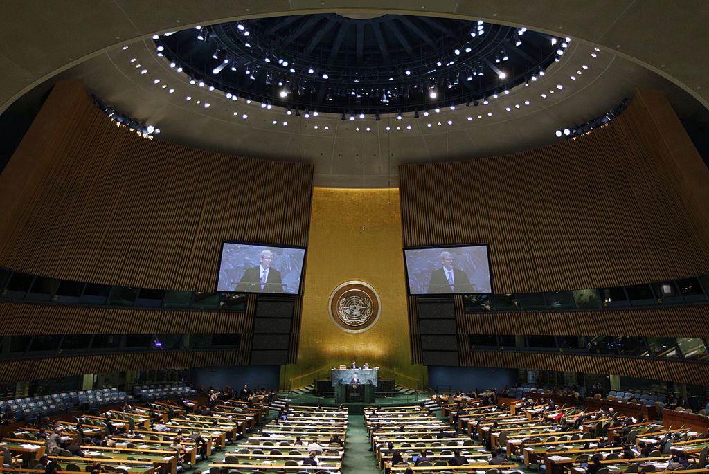 65th United Nations General Assembly