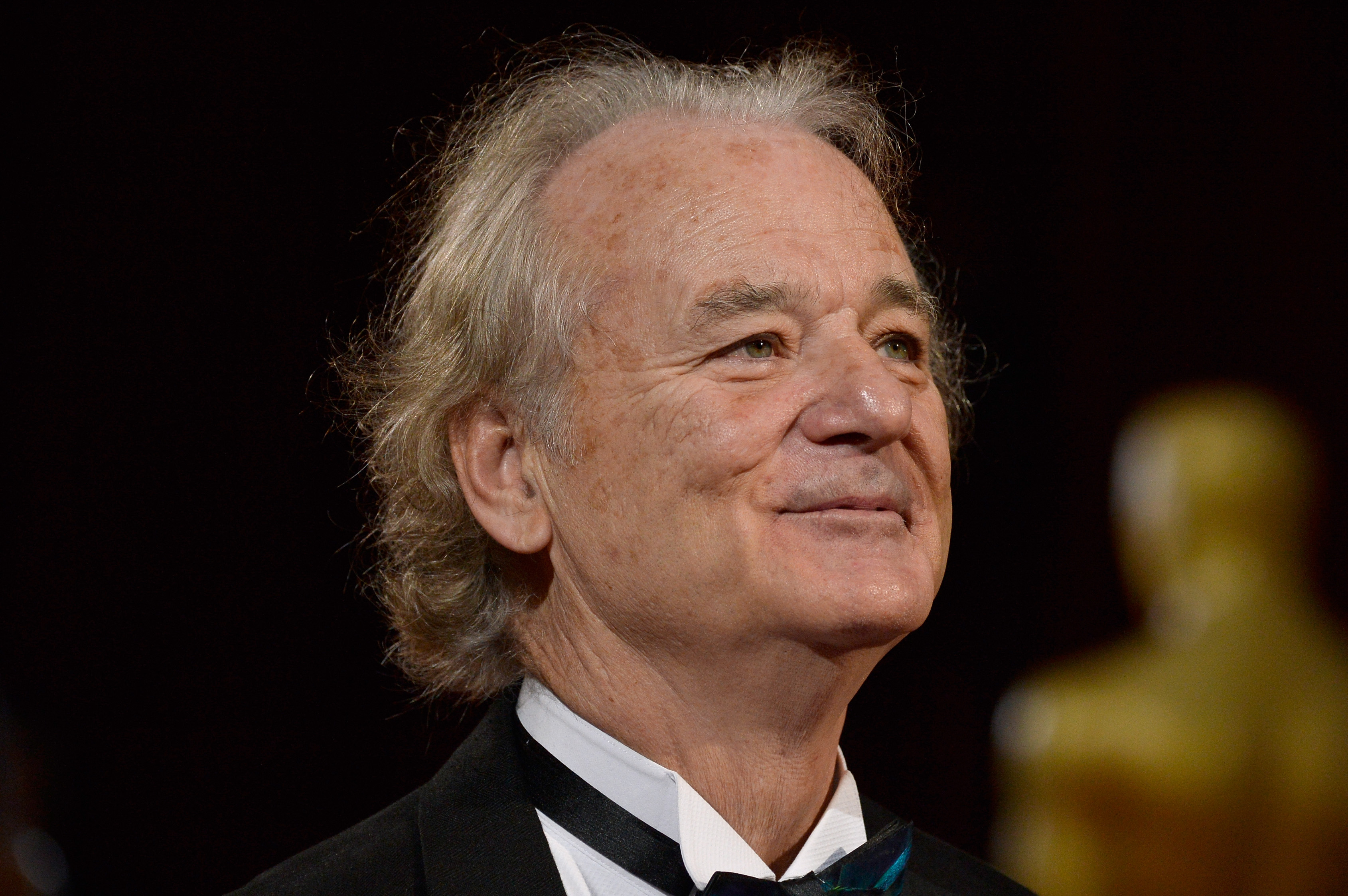 Actor Bill Murray attends the Oscars held at Hollywood &amp; Highland Center on March 2, 2014 in Hollywood, California. (Frazer Harrison-Getty Images)