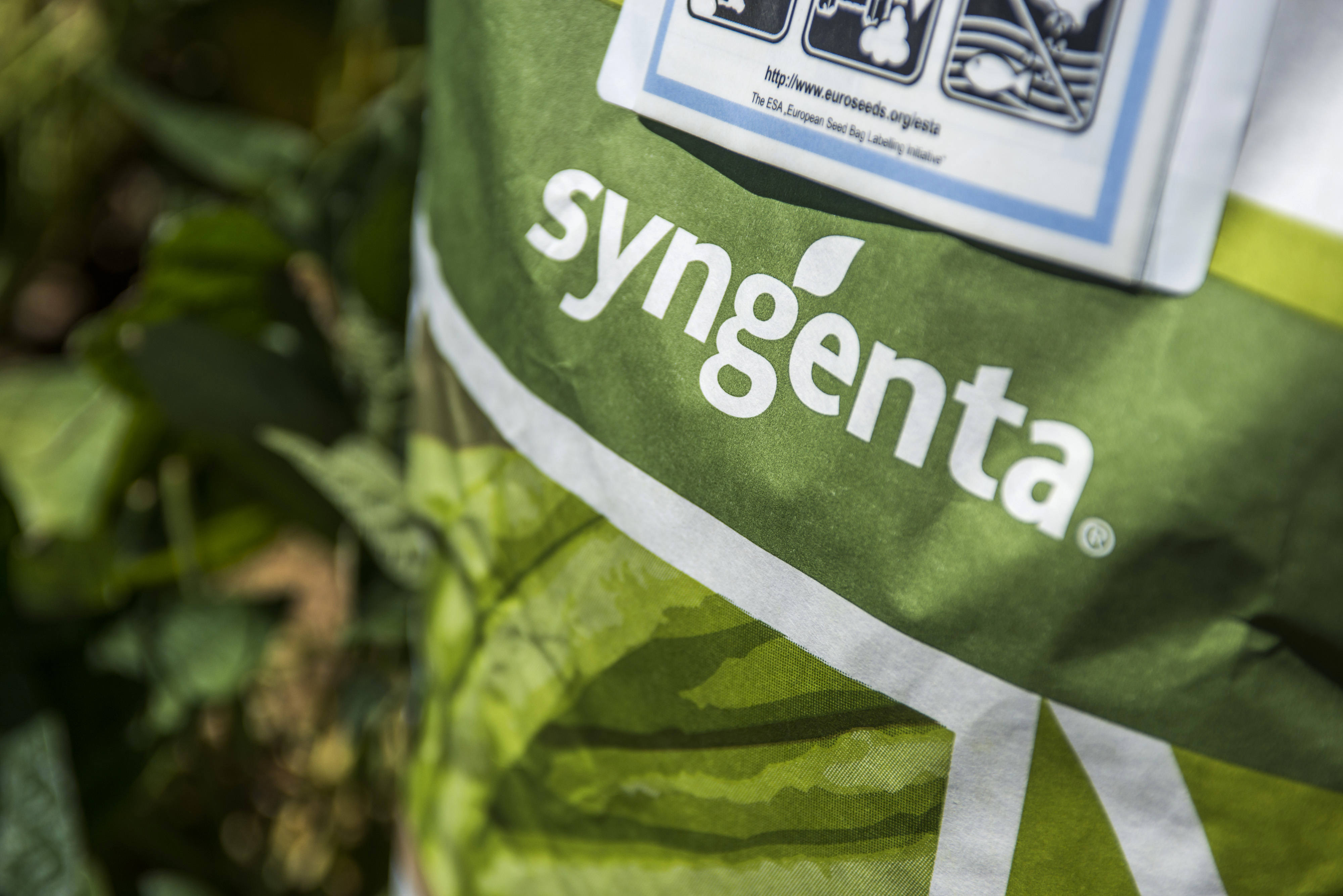 A sack of Syngenta AG bean seeds on a farmer's field near Johannesburg on Feb. 4, 2016 (Waldo Swiegers—Bloomberg/Getty Images)