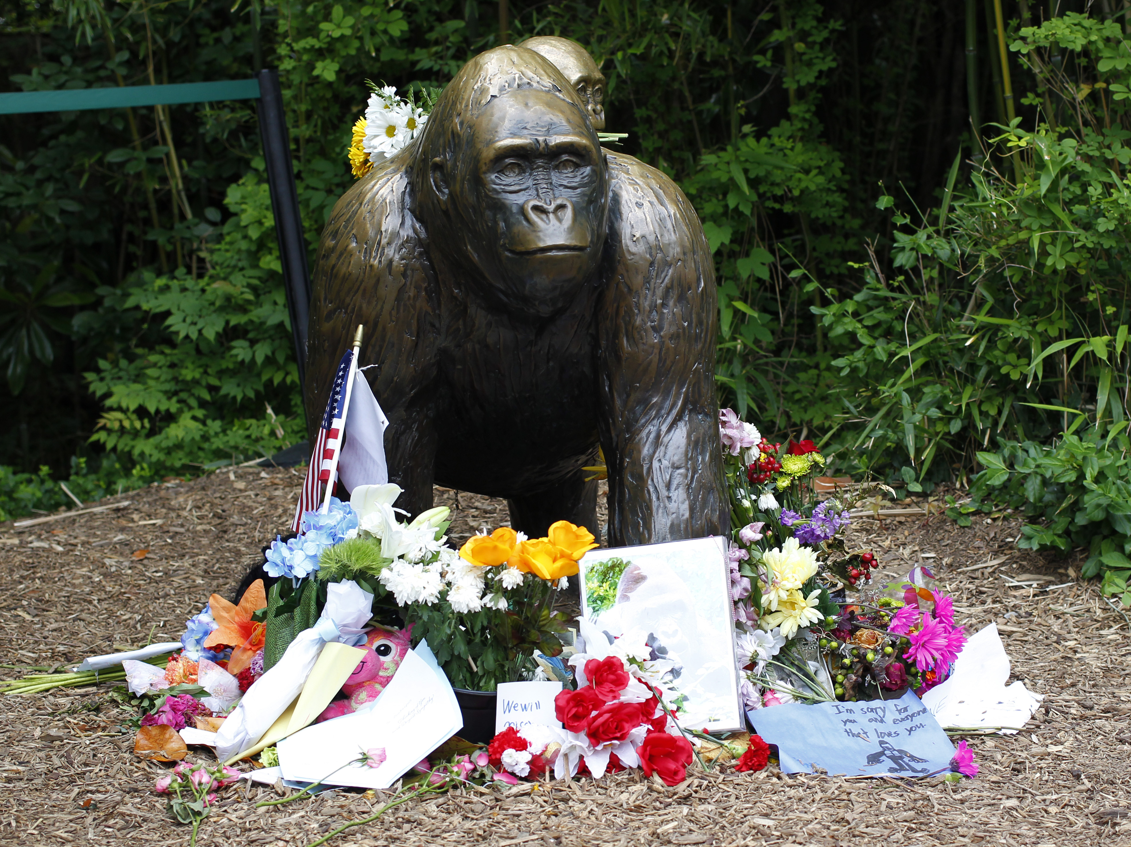 Flowers lay around a bronze statue of a gorilla and her baby outside the Cincinnati Zoo's Gorilla World exhibit in Cincinnati, Ohio, on June 2, 2016.