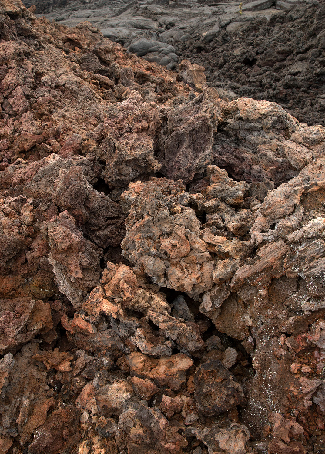 A detail of a lava field at the HI-SEAS Mars simulation habitat on the island of Hawaii on Aug. 29, 2016. (Cassandra Klos for TIME)
