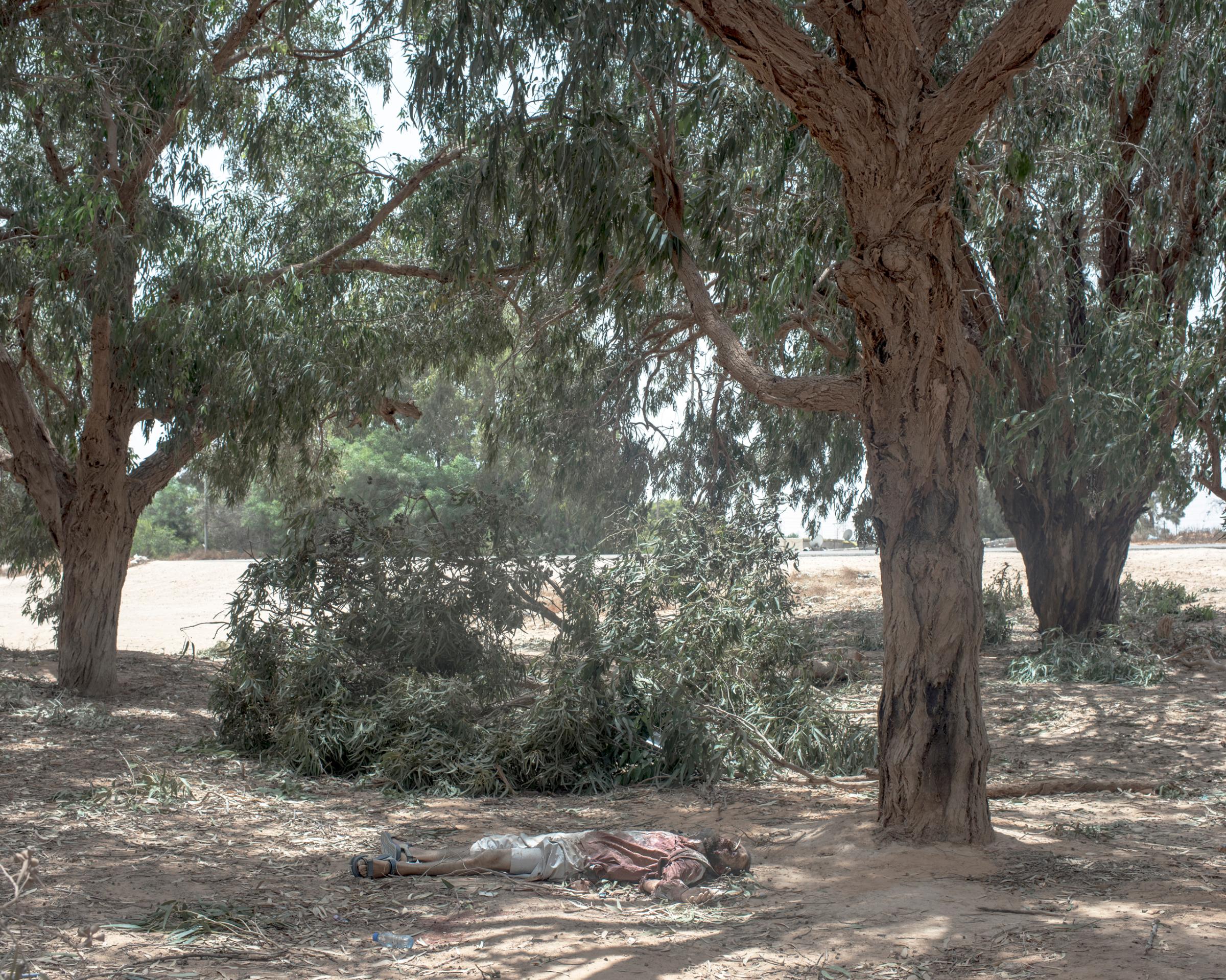 The corpse of a slain IS fighter lies beneath a eucalyptus trees in Sirte, Libya, July, 2016
