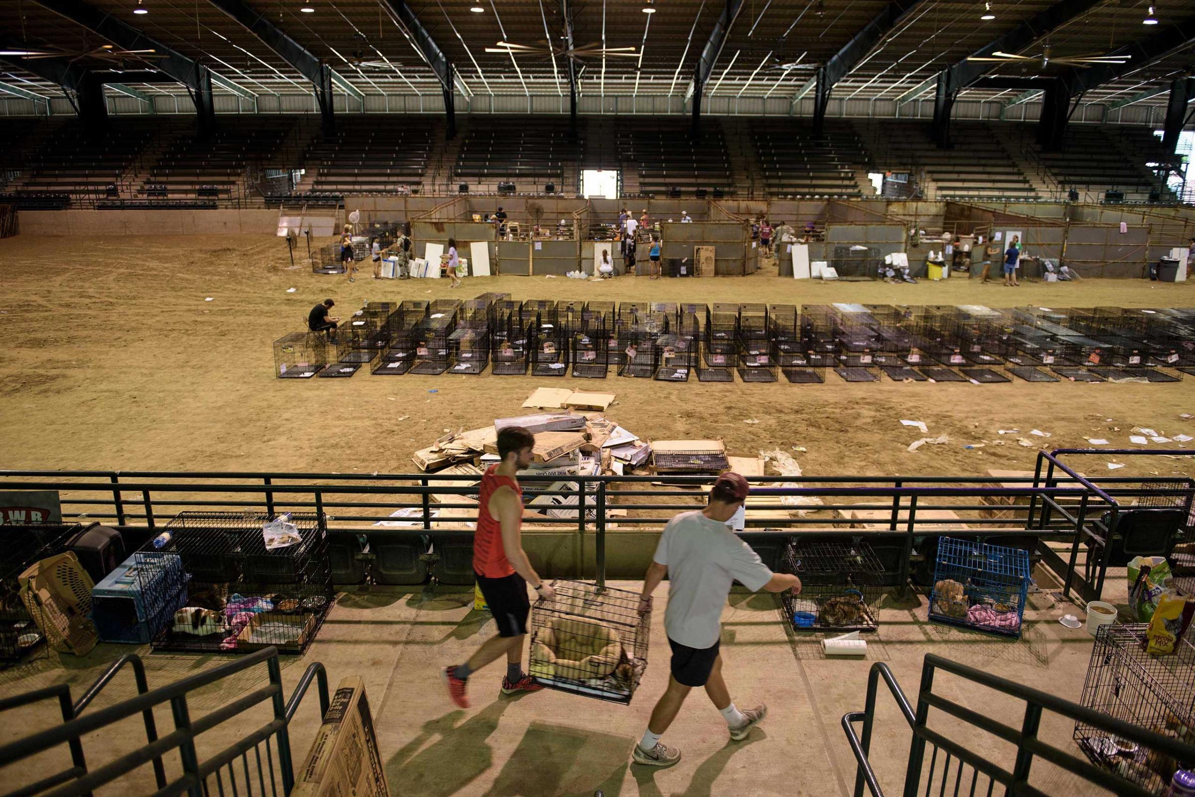 Volunteers move cages at a temporary animal shelter inside the Lamar Dixon Expo Center near a flood victims' shelter after flooding in Gonzales, La., on Aug. 16, 2016.