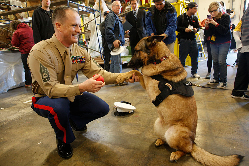 U.S. Marine Gunnery Sgt. Christopher Willingham is photographed with Lucca on Dec. 27, 2012.