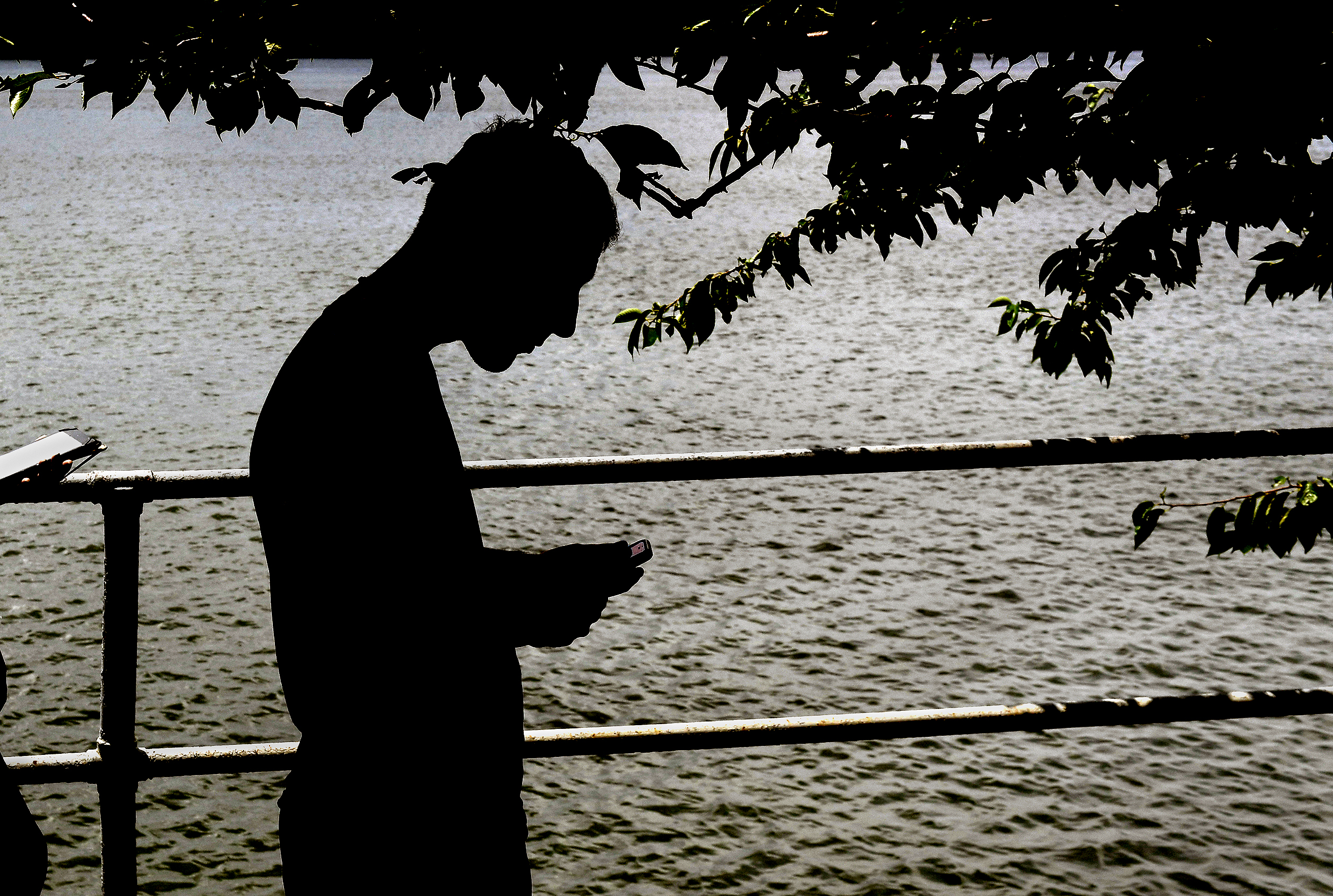 A Pokemon Go participant checks for Pokemon's as he paused along the Tidal Basin, in Washington, on July 30, 2016. (Michael S. Williamson&mdash;The Washington Post/Getty Images)