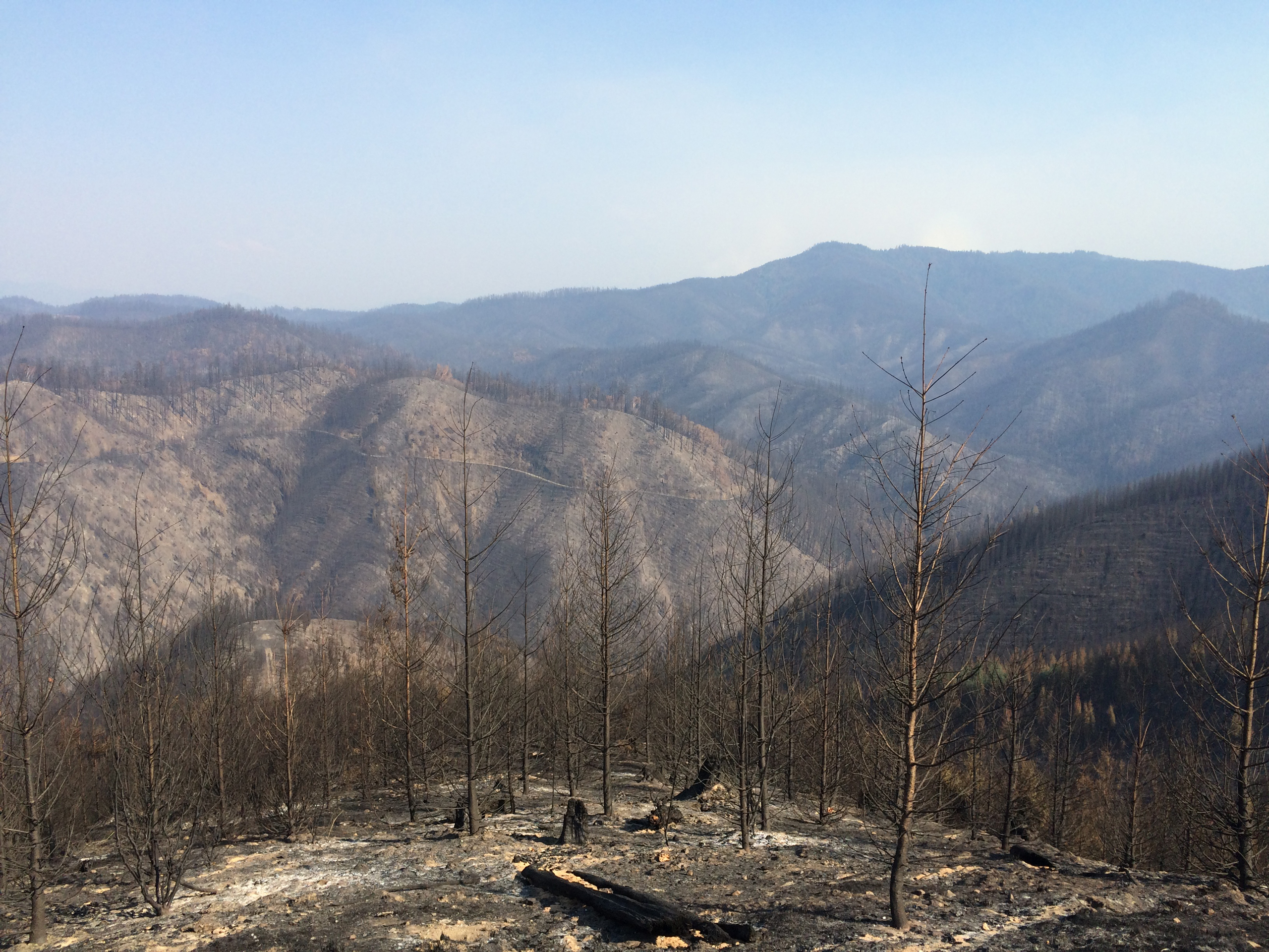 The Stouts Creek Fire (Courtesy of Douglas Forest Protective Association)