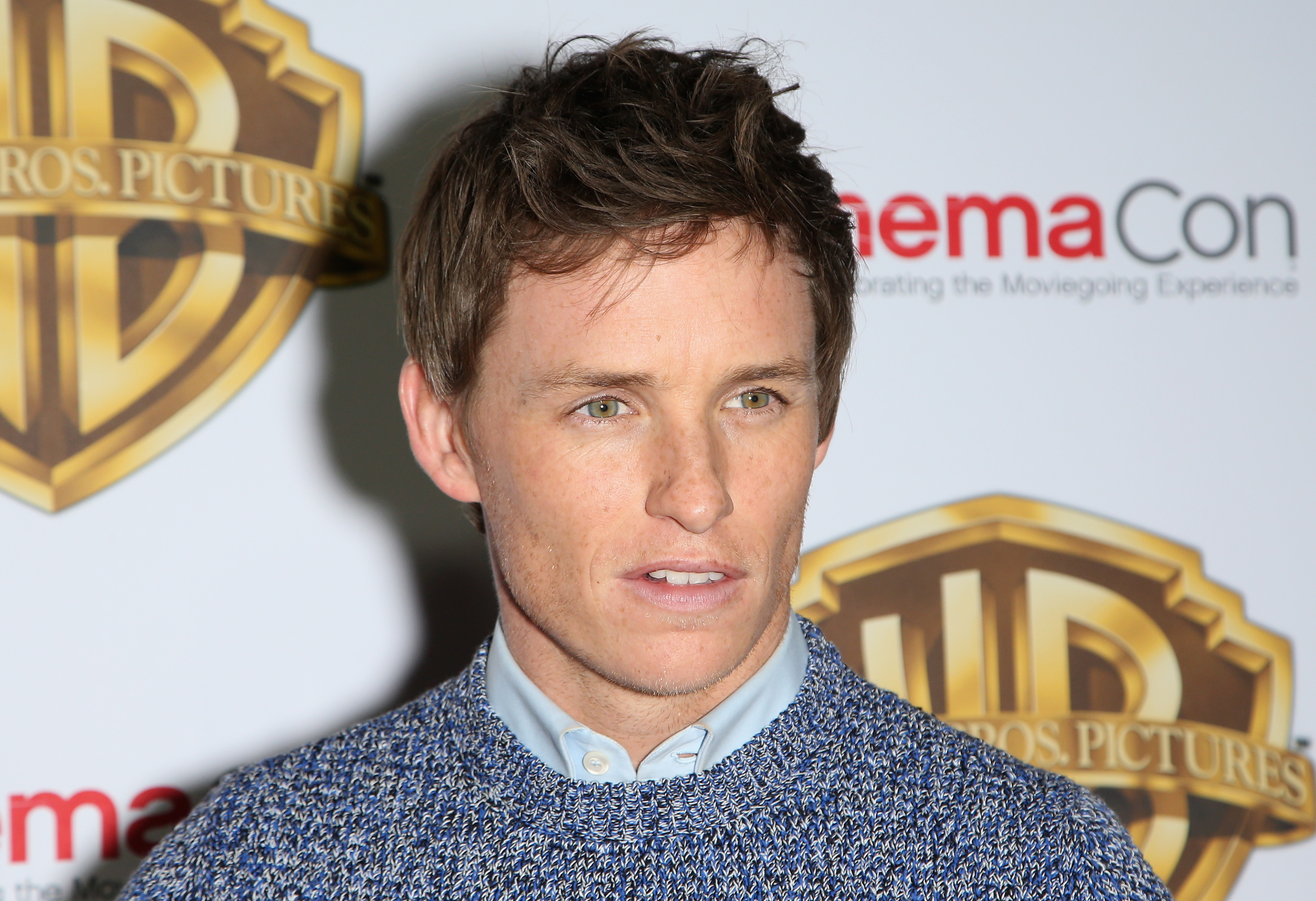 Actor Eddie Redmayne attends Warner Bros. Pictures' "The Big Picture," an exclusive presentation highlighting the summer of 2016 and beyond at The Colosseum at Caesars Palace. (Gabe Ginsberg&mdash;Getty Images)