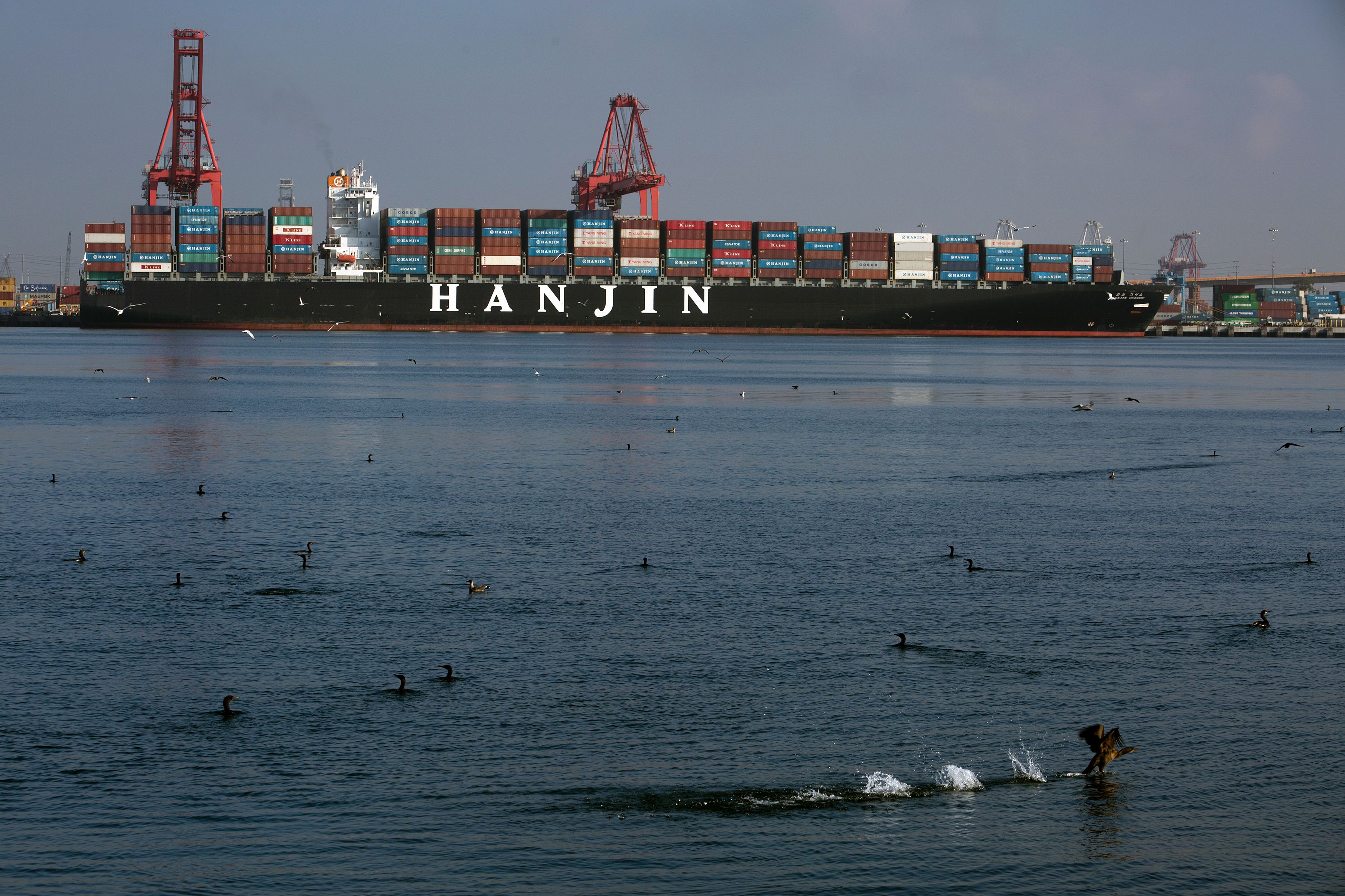 The Hanjin Greece container ship is docked for unloading at the Port of Long Beach, Calif., Sept. 10, 2016, after being stranded at sea for more than a week for fear that it could be seized by creditors if it came to shore. (David McNew—AFP/Getty Images)