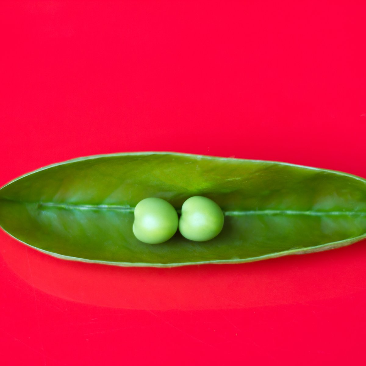 Two Perfect Peas in a Pod, Vibrant Red Background
