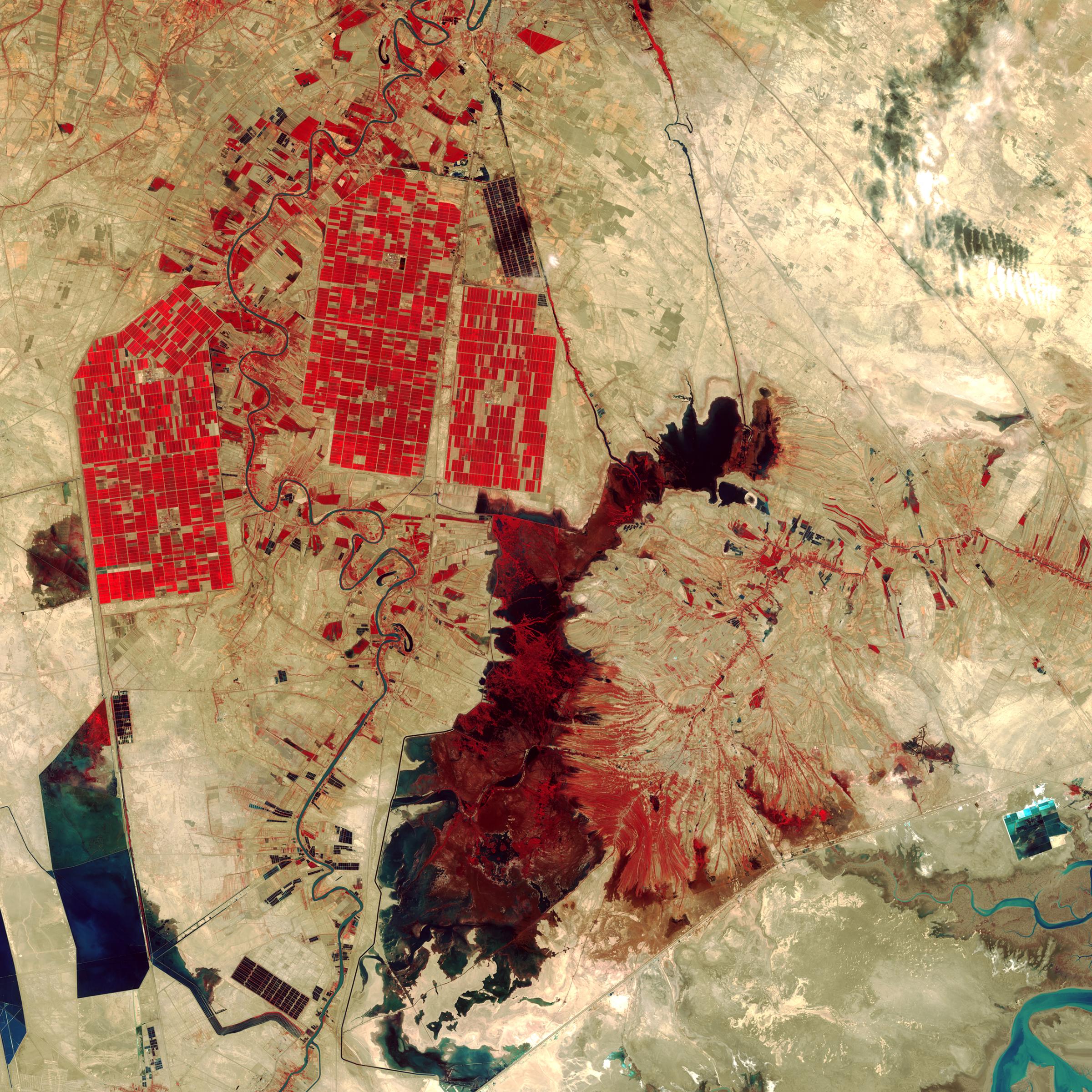Shadegan Wetlands, IranRed areas in this Landsat 8 image depict actively growing vegetation. The rectangular shapes in the upper left reveal irrigated farmland while the dark red shape in the center of the image is Shadegan Pond. Oct. 12, 2014.