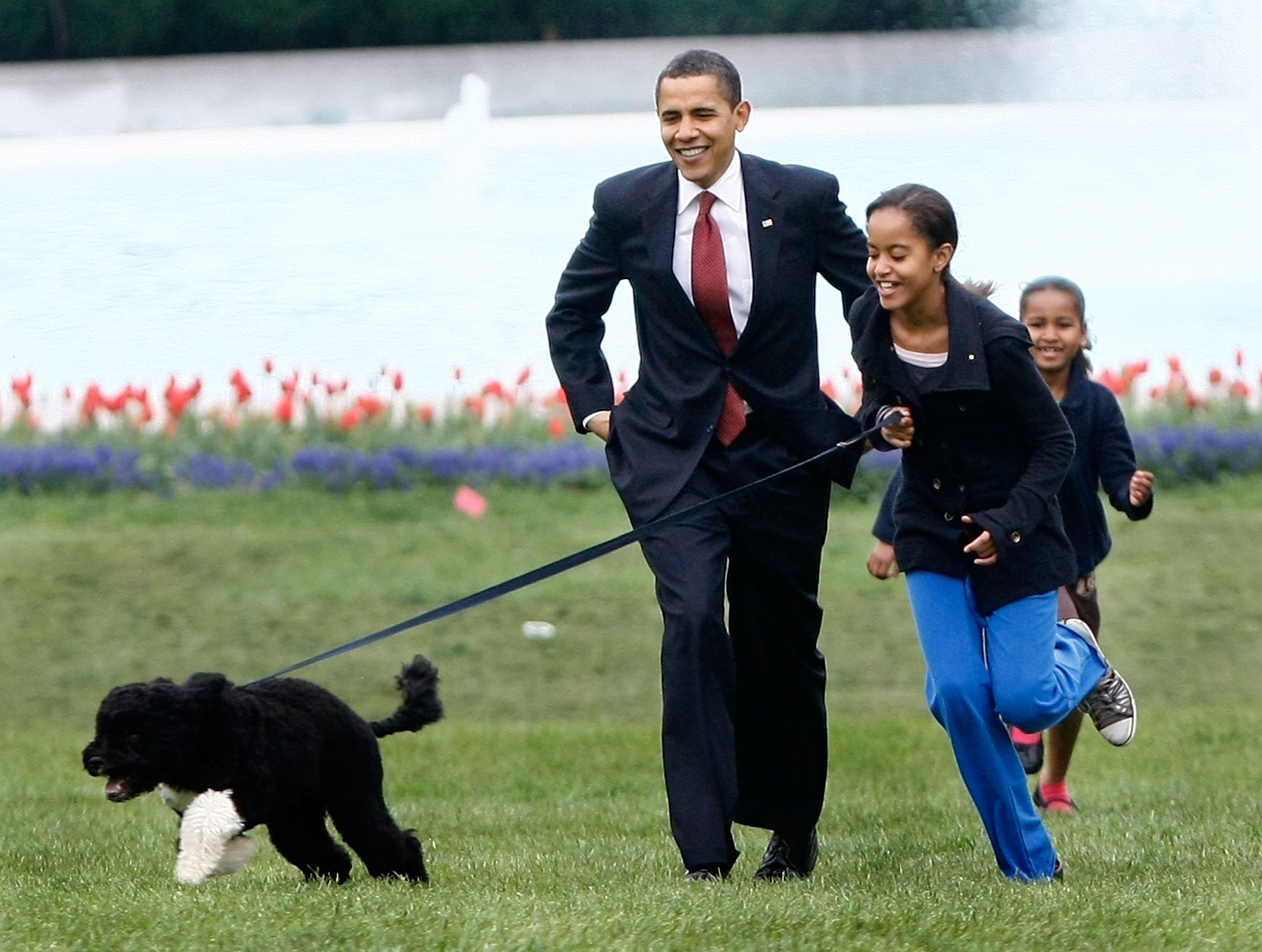Barack Obama with his daughters Malia (C) and Sasha (R) walk the family's new Portuguese water dog Bo, on the South Lawn of the White House on April 14, 2009. The six-month-old puppy was a gift from Sen. Edward M. Kennedy (D-MA), who owns several Portuguese water dogs himself. This breed of dog is considered a good pet for children who have allergies, as Malia does.