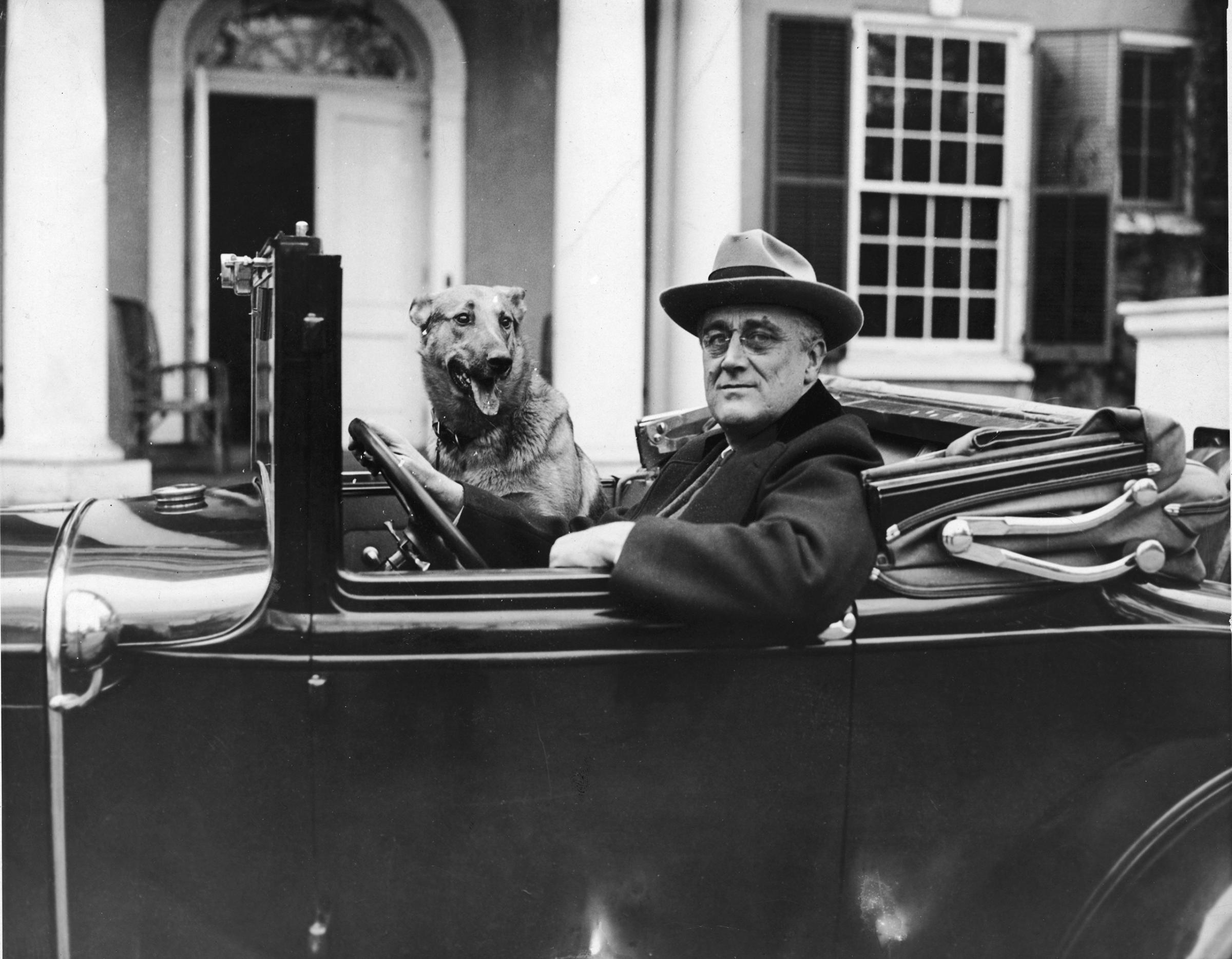 Franklin Delano Roosevelt sits behind the wheel of his car with his German Shepherd, Major, outside of his home in Hyde Park, New York, in the mid 1930's.