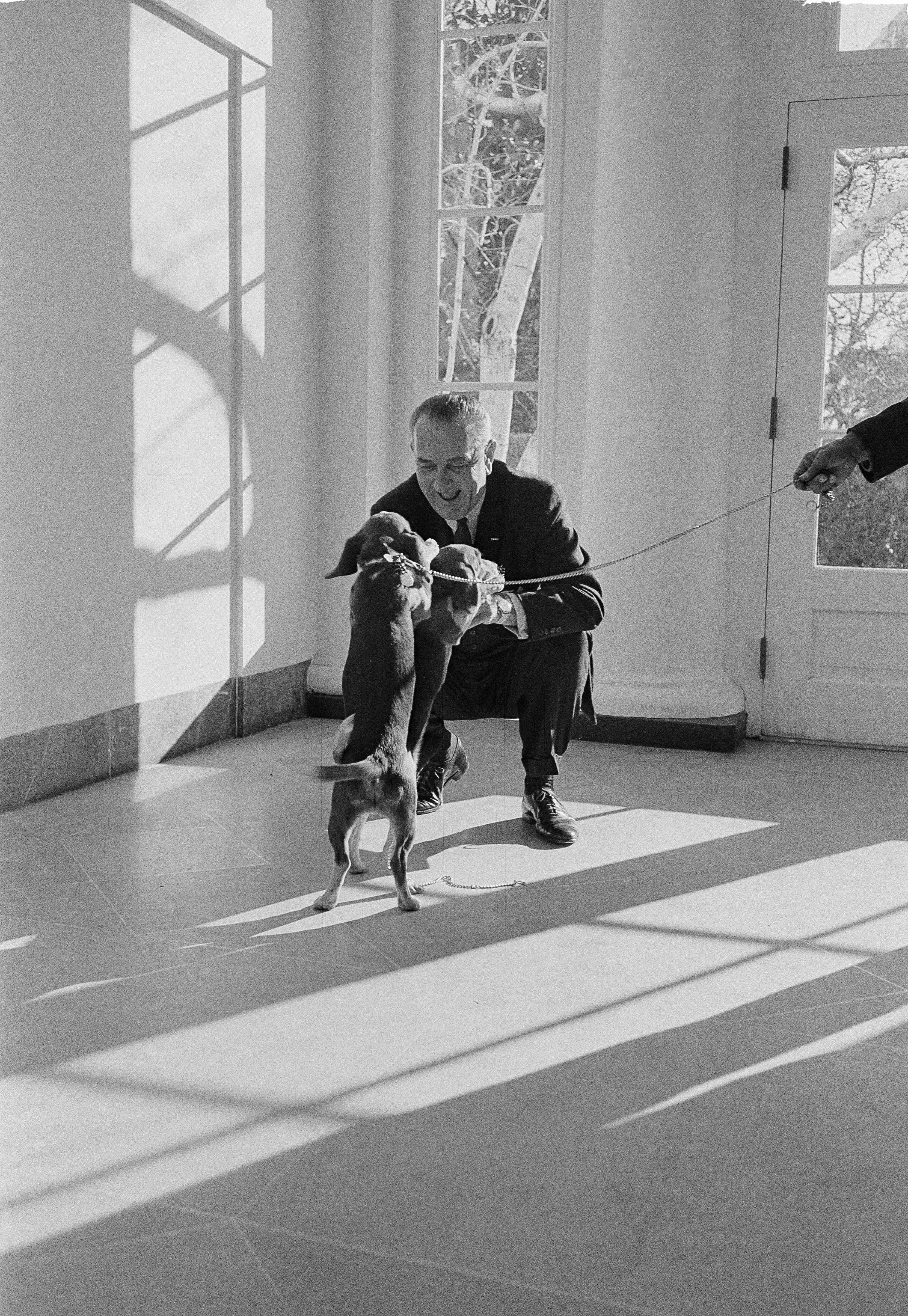 Lyndon B. Johnson gets a lively greeting from his daughter Lucy's beagles, Him and Her, in a White House corridor, Dec. 21, 1963.